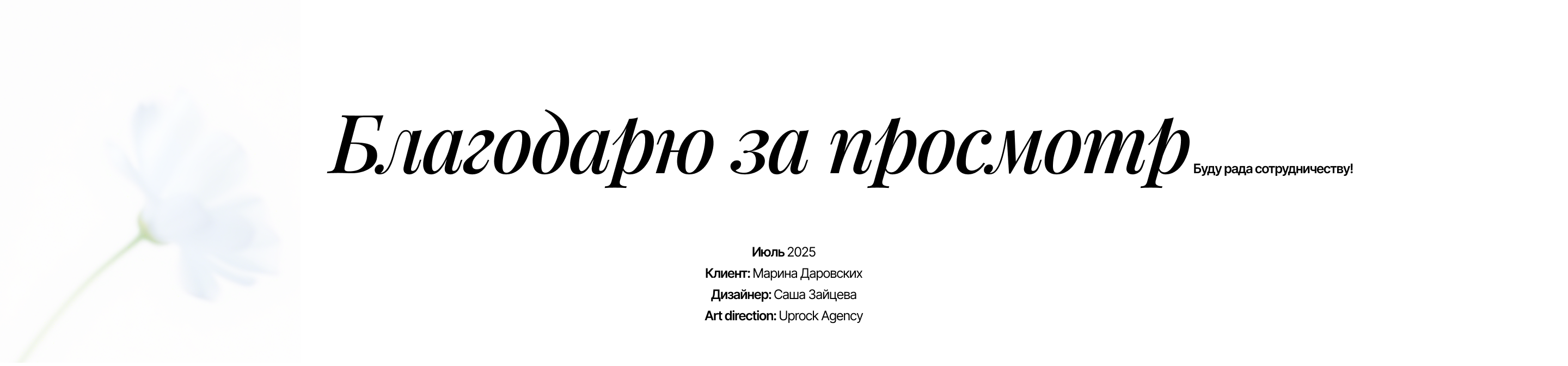 Интернет магазин | Сute — Изображение №18 — Интерфейсы, Анимация на Dprofile
