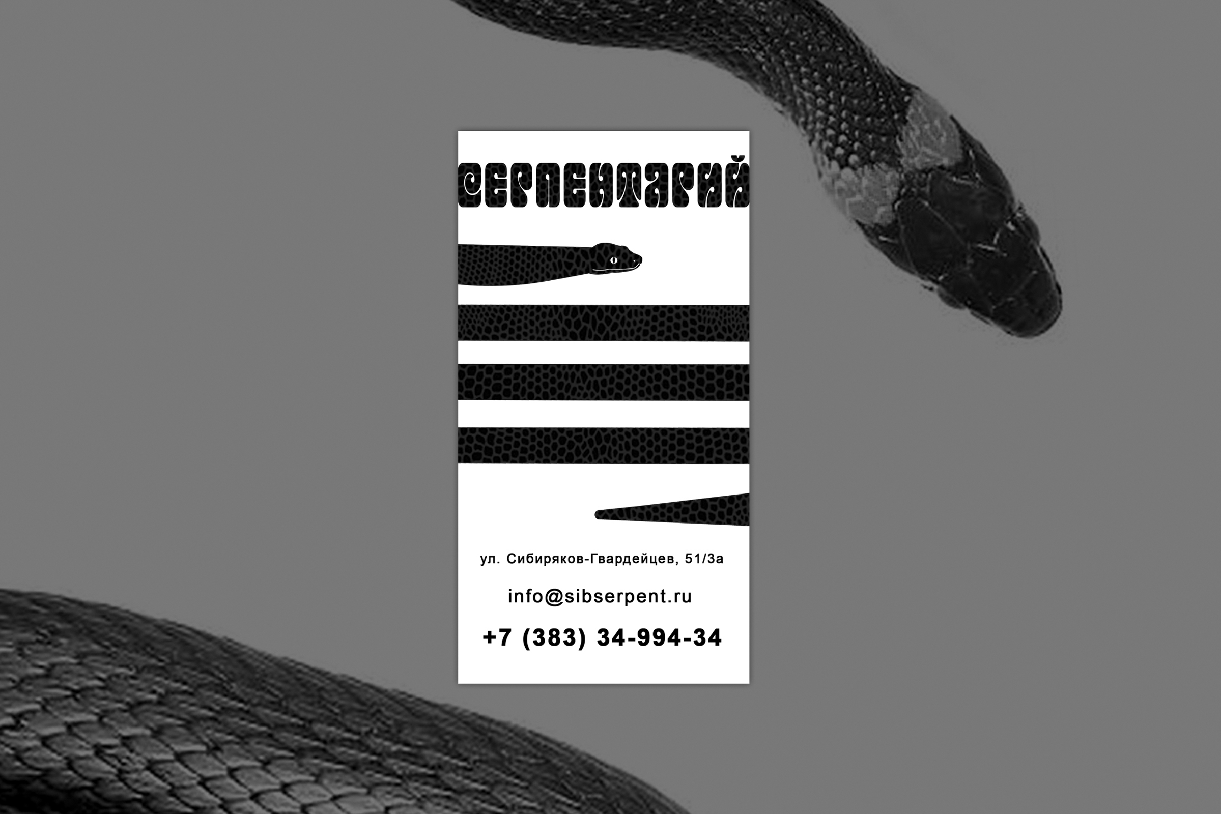 Визитки — Изображение №3 — Графика на Dprofile