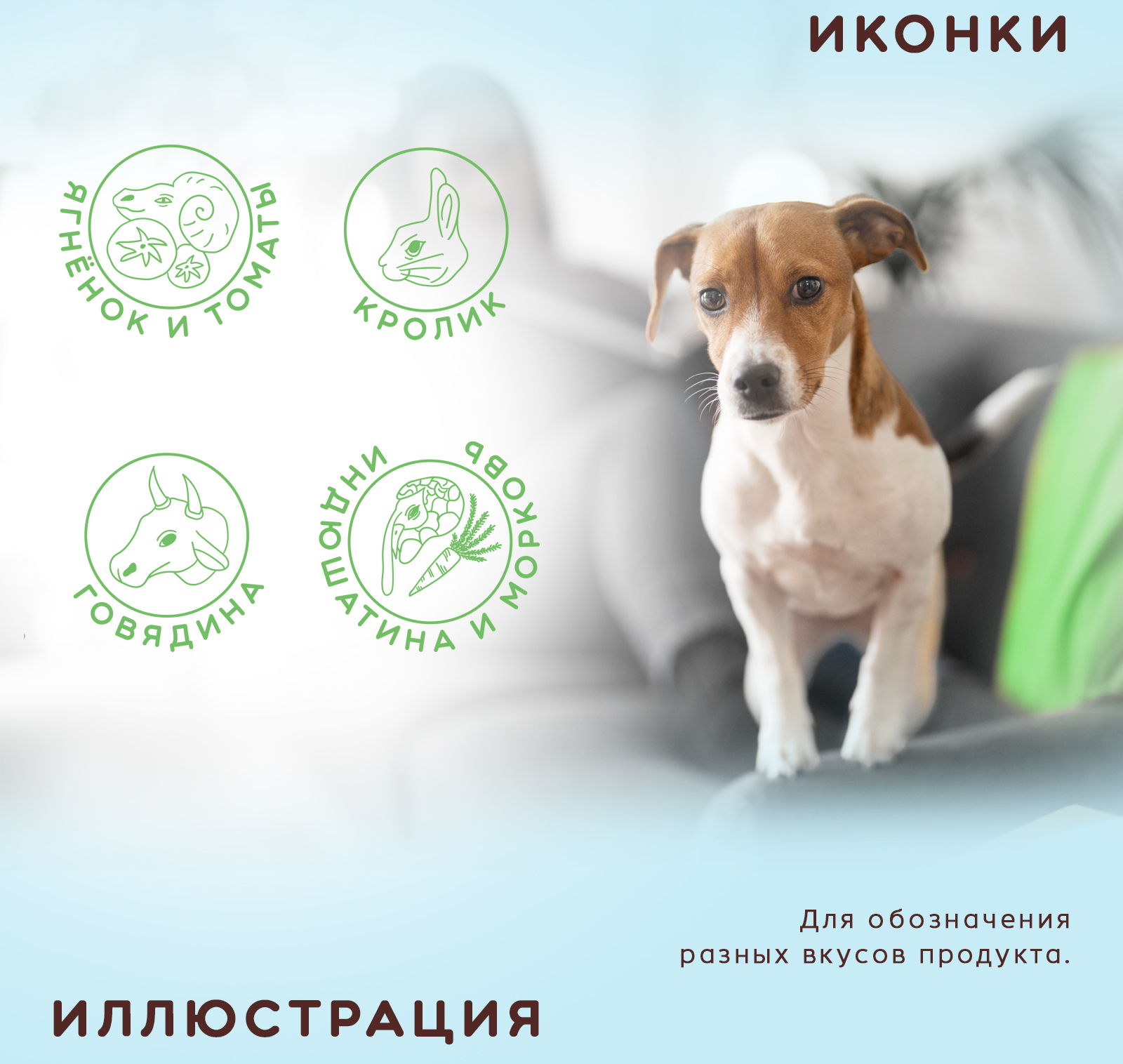 Корм для собак "Дружок" — Изображение №3 — Брендинг на Dprofile