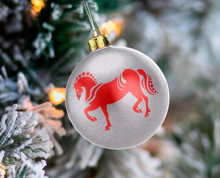 Упаковка для ёлочной игрушки — Брендинг, Промдизайн на Dprofile