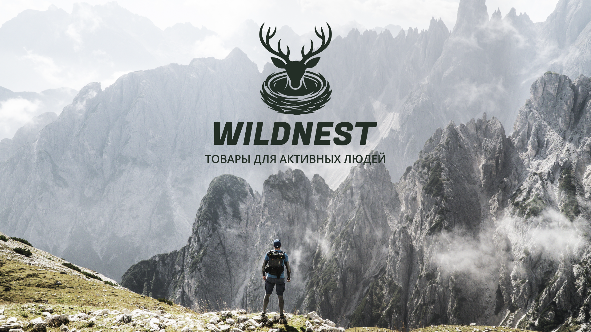 Иллюстративный логотип WILDNEST — Изображение №4 — Брендинг, Иллюстрация на Dprofile