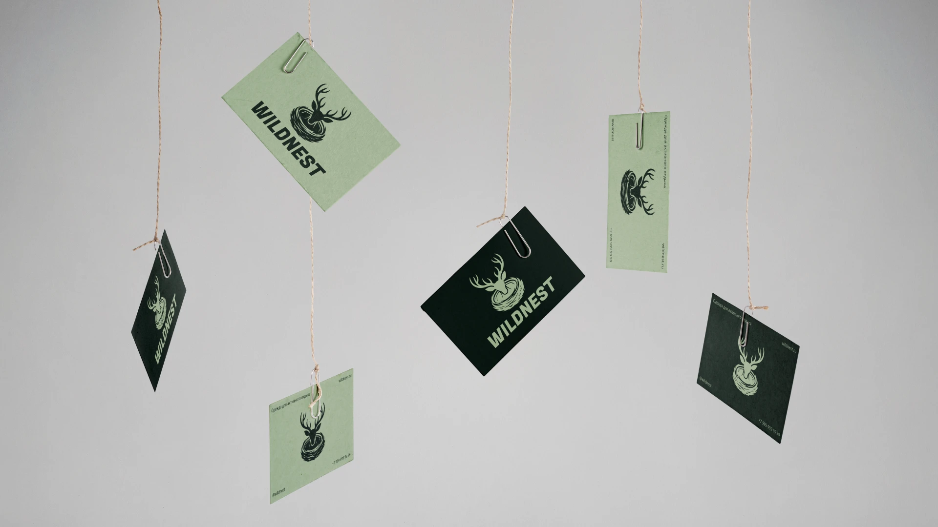 Иллюстративный логотип WILDNEST — Изображение №8 — Брендинг, Иллюстрация на Dprofile