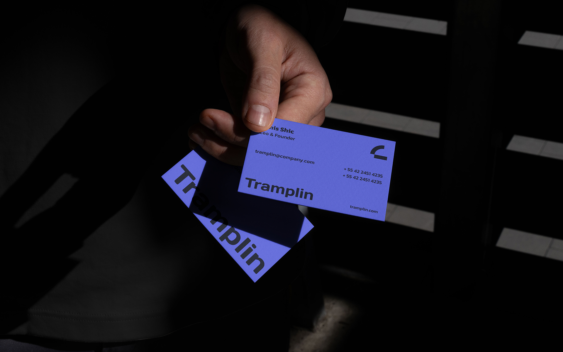 Tramplin | Креативная IT-компания — Изображение №11 — Брендинг на Dprofile