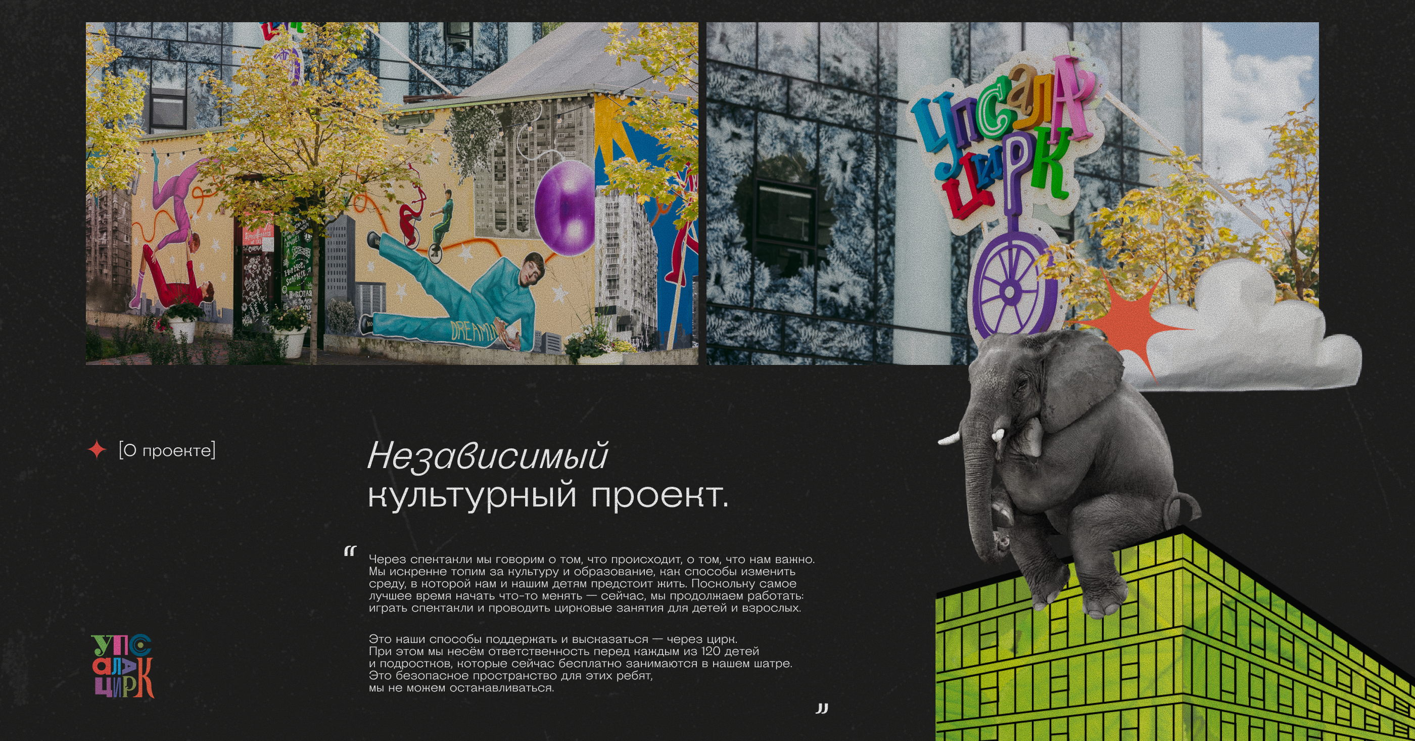 Window decoration / graphics — Изображение №2 — Иллюстрация, Графика на Dprofile