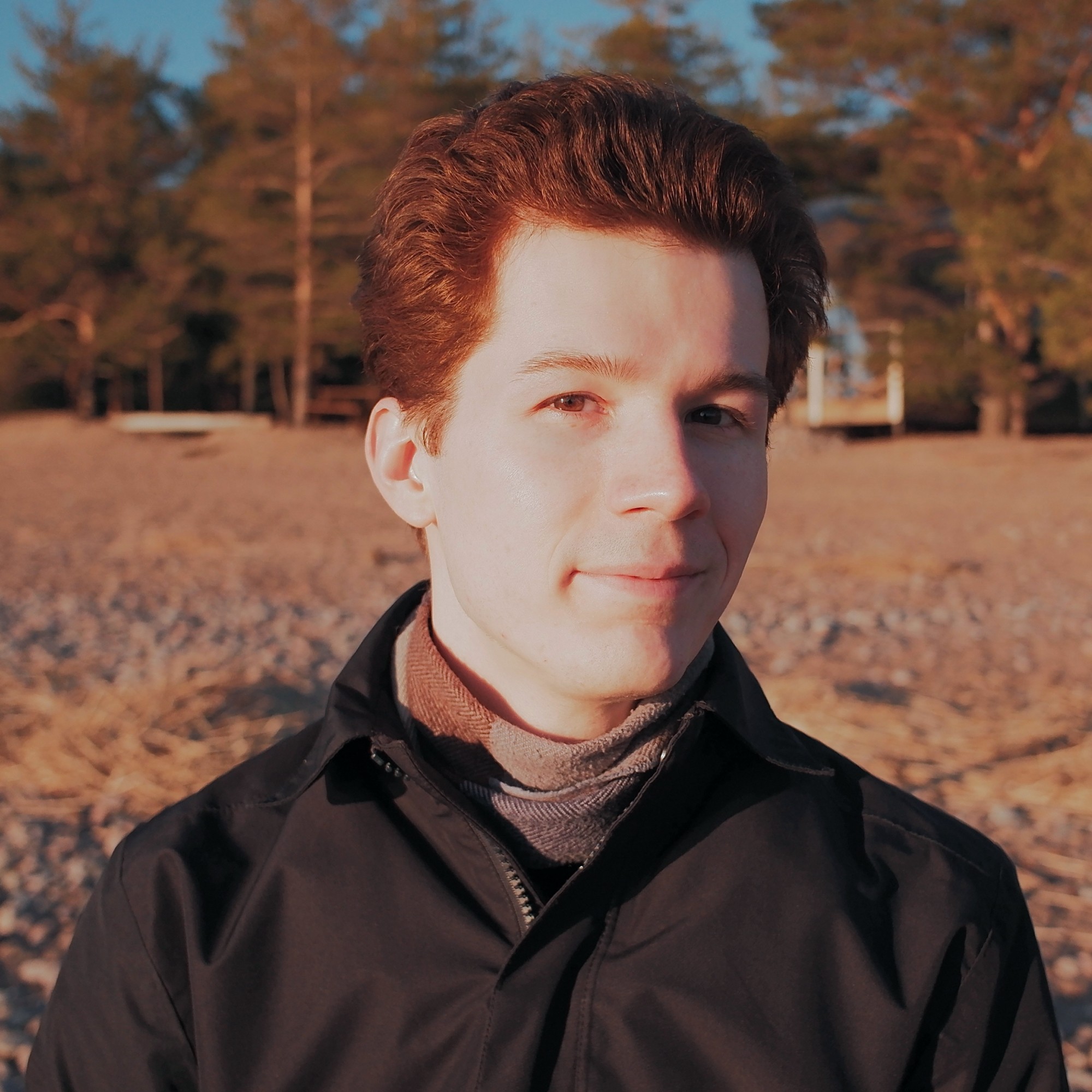 Аватар пользователя Евгений Вышегородцев