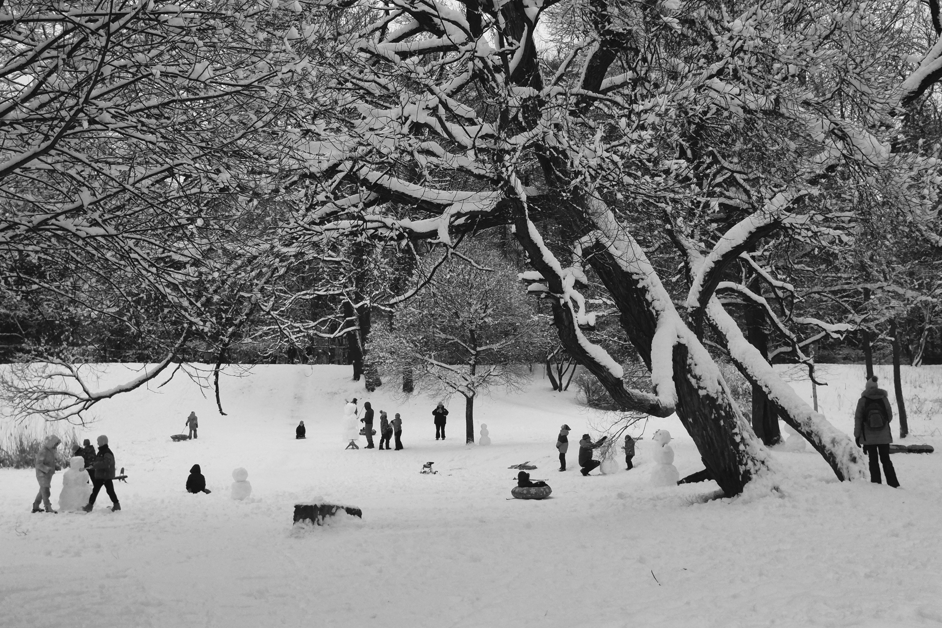 1×1 — пятидневная фотовыставка во дворе {2025} — Изображение №7 — Графика, Маркетинг на Dprofile