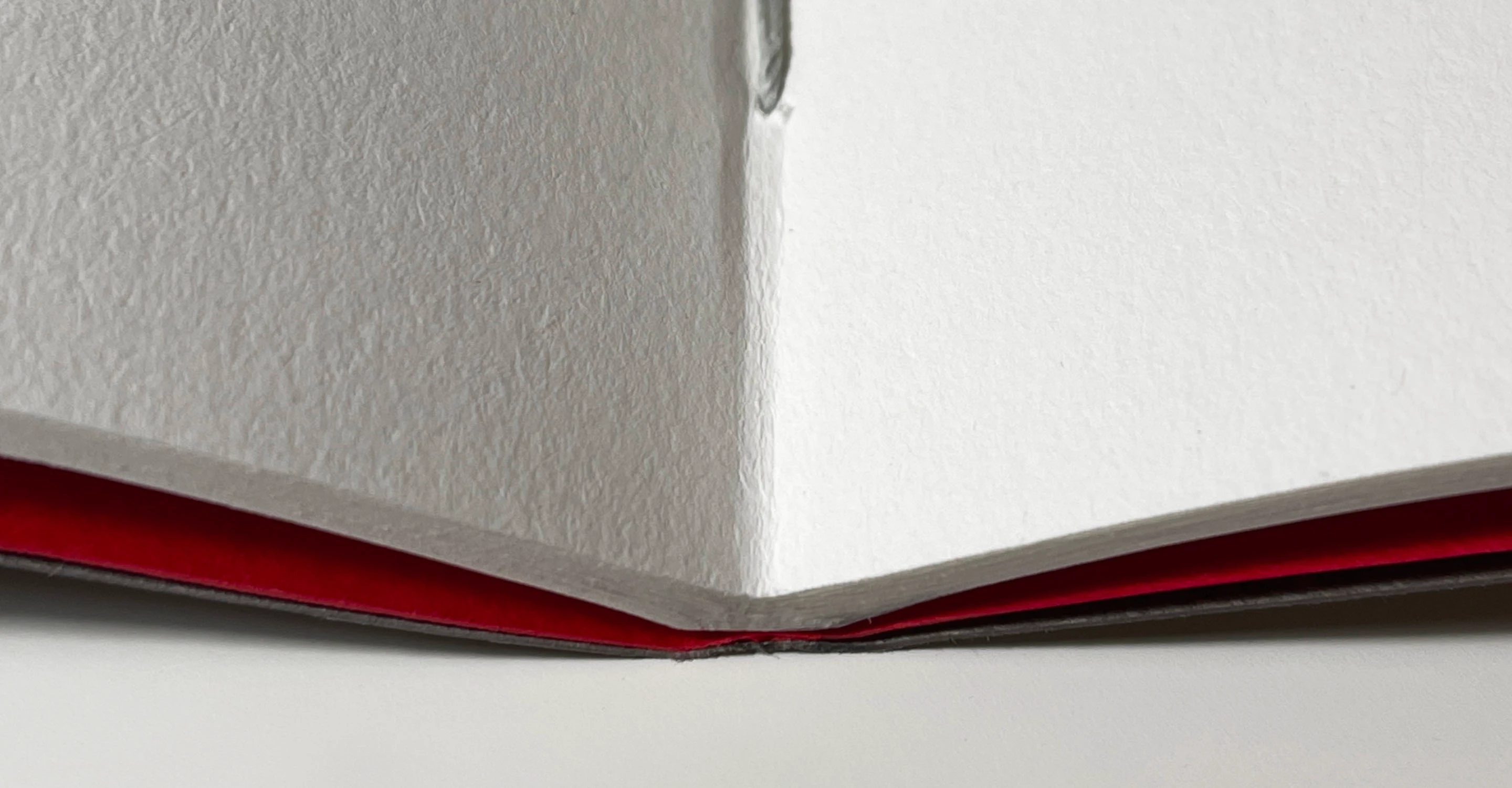 Special — блокноты ручной работы {2024} — Изображение №1 — Брендинг, Графика на Dprofile