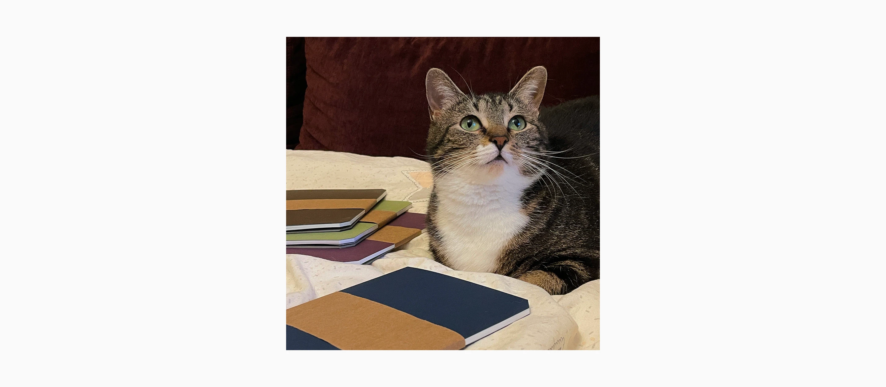 Special — блокноты ручной работы {2024} — Изображение №6 — Брендинг, Графика на Dprofile