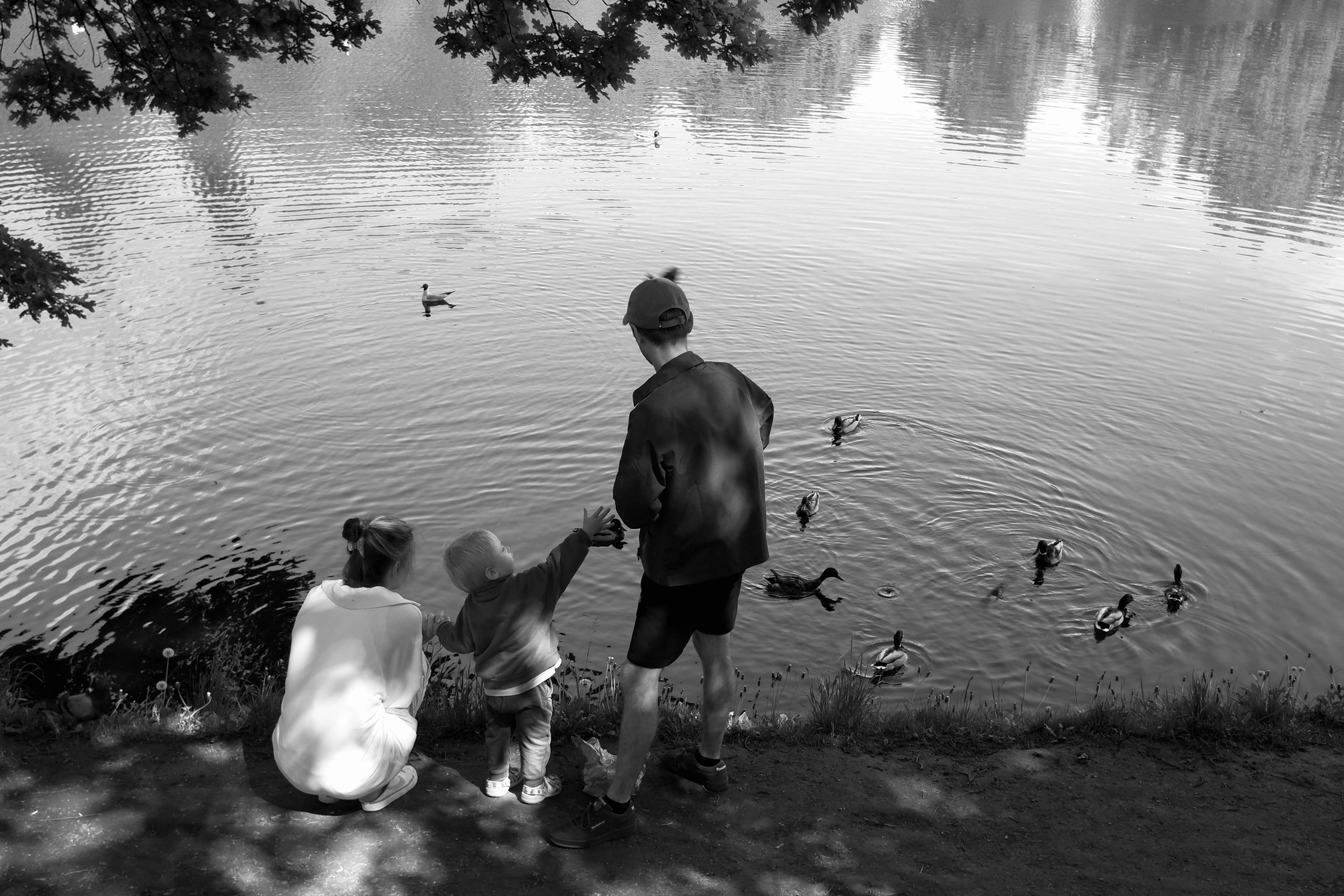 1×1 — пятидневная фотовыставка во дворе {2025} — Изображение №6 — Графика, Маркетинг на Dprofile