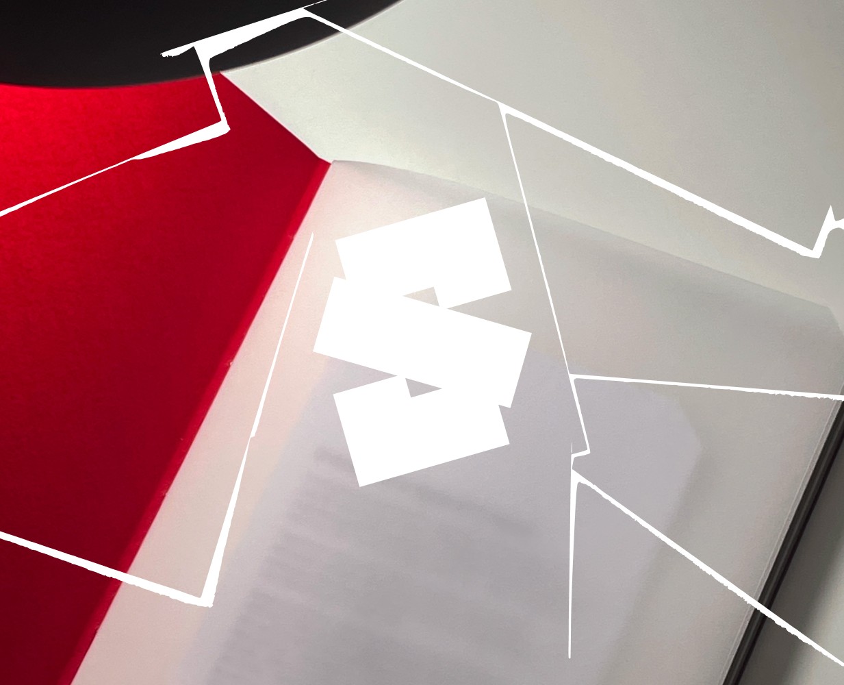 Special — блокноты ручной работы {2024} — Брендинг, Графика на Dprofile