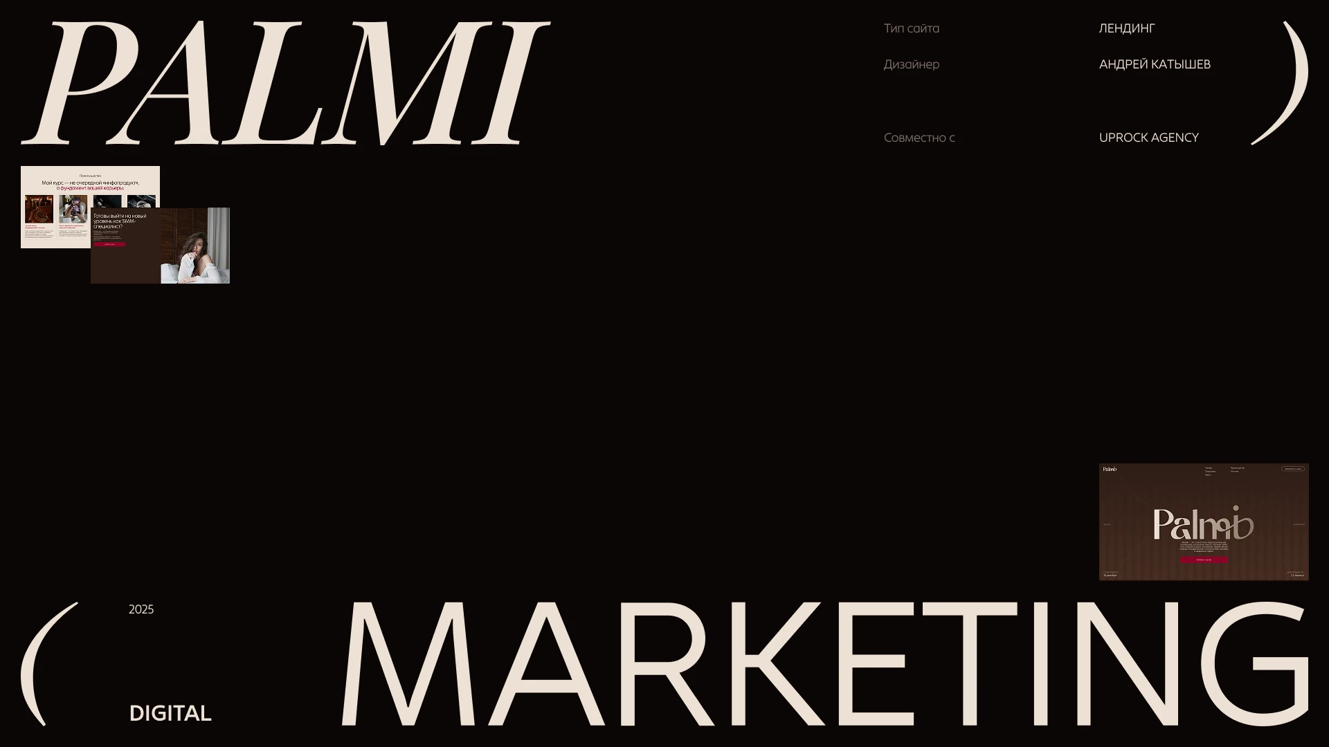 PALMI | КОММЕРЧЕСКИЙ ПРОЕКТ — Изображение №1 — Интерфейсы на Dprofile