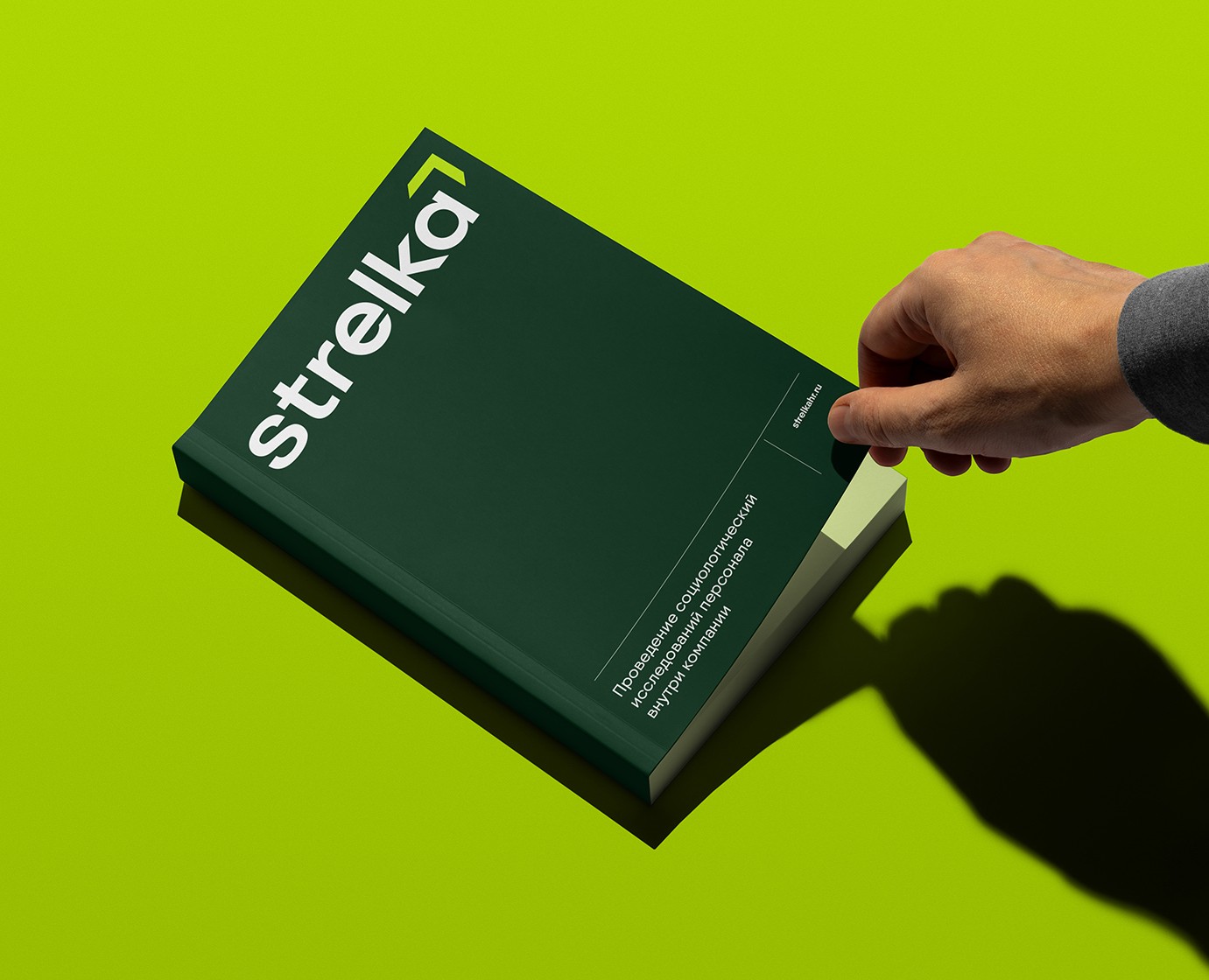 Strelka на Dprofile