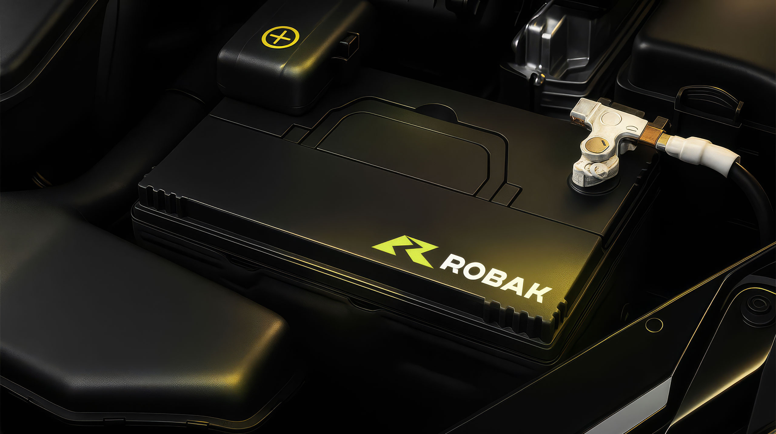 Robak. Автоаккумуляторы — Изображение №2 — Брендинг на Dprofile