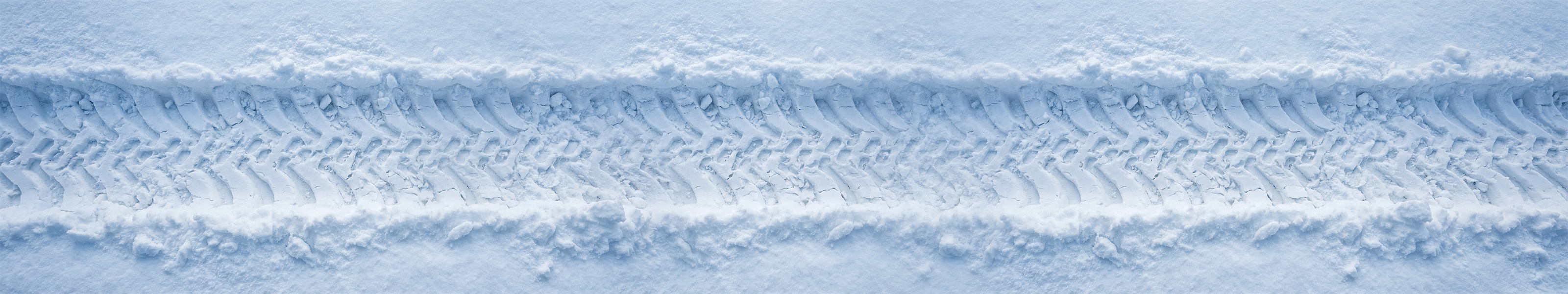 С наступающим, выжившие! — Изображение №15 — Иллюстрация на Dprofile