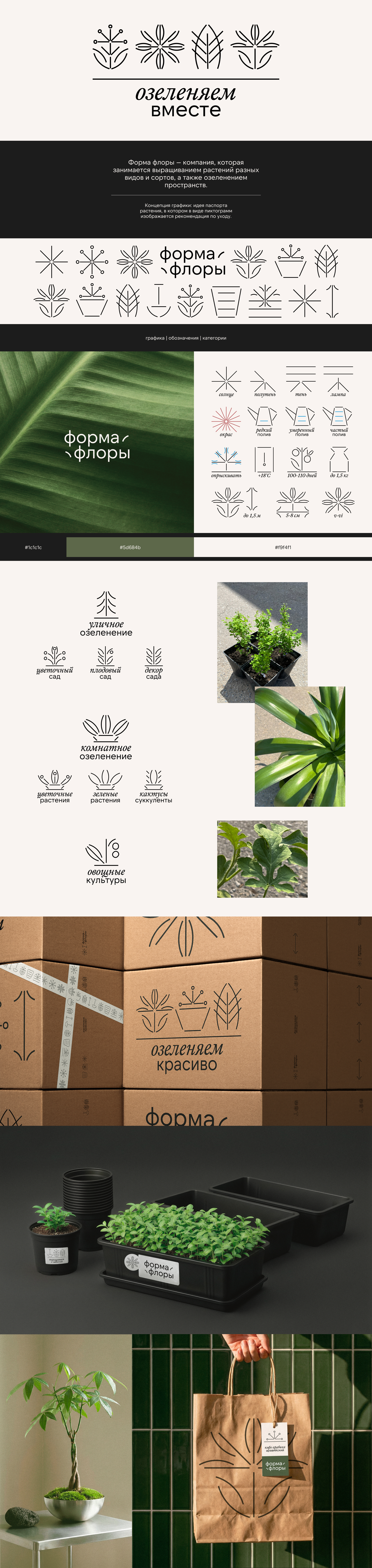 «Форма Флоры» | Брендинг компании по озеленению пространств — Изображение №1 — Брендинг, Графика на Dprofile