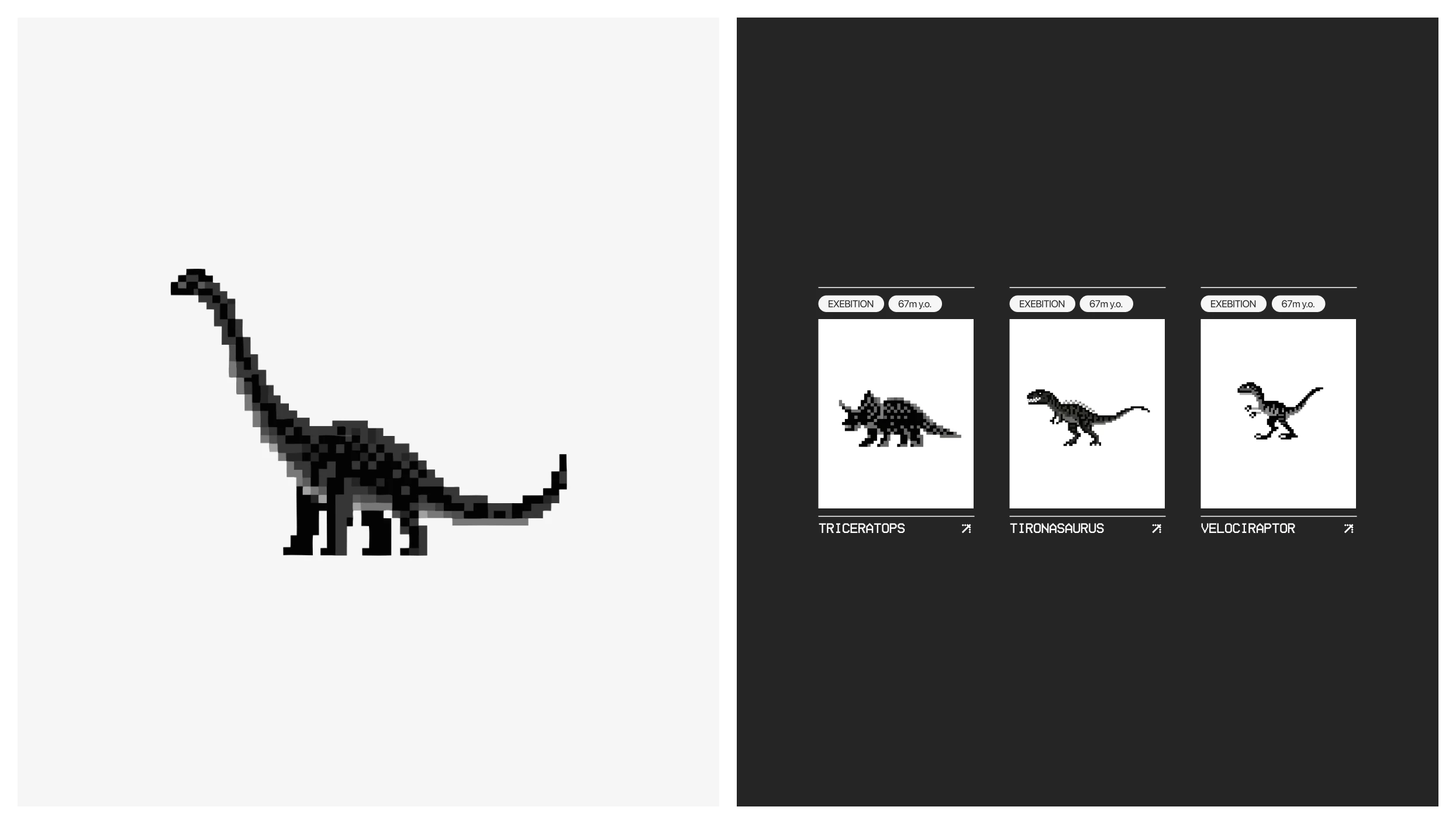 American Museum of Natural History | Website — Изображение №12 — Интерфейсы, Иллюстрация на Dprofile