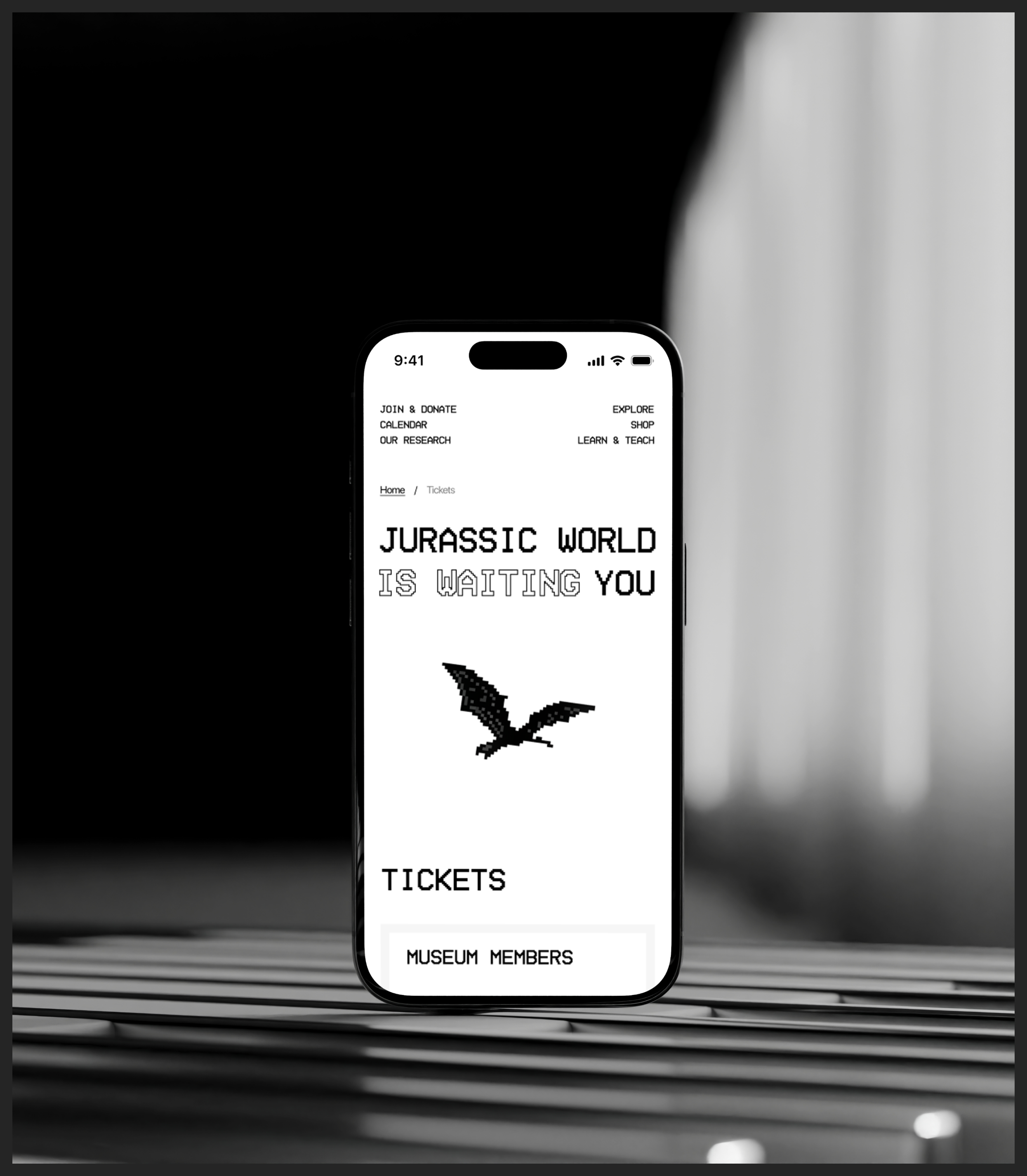 American Museum of Natural History | Website — Изображение №11 — Интерфейсы, Иллюстрация на Dprofile