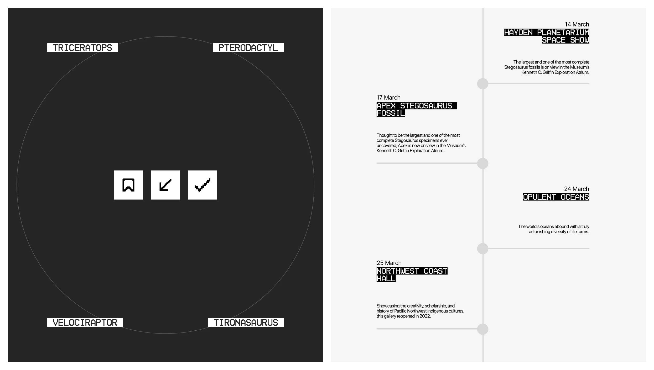 American Museum of Natural History | Website — Изображение №9 — Интерфейсы, Иллюстрация на Dprofile