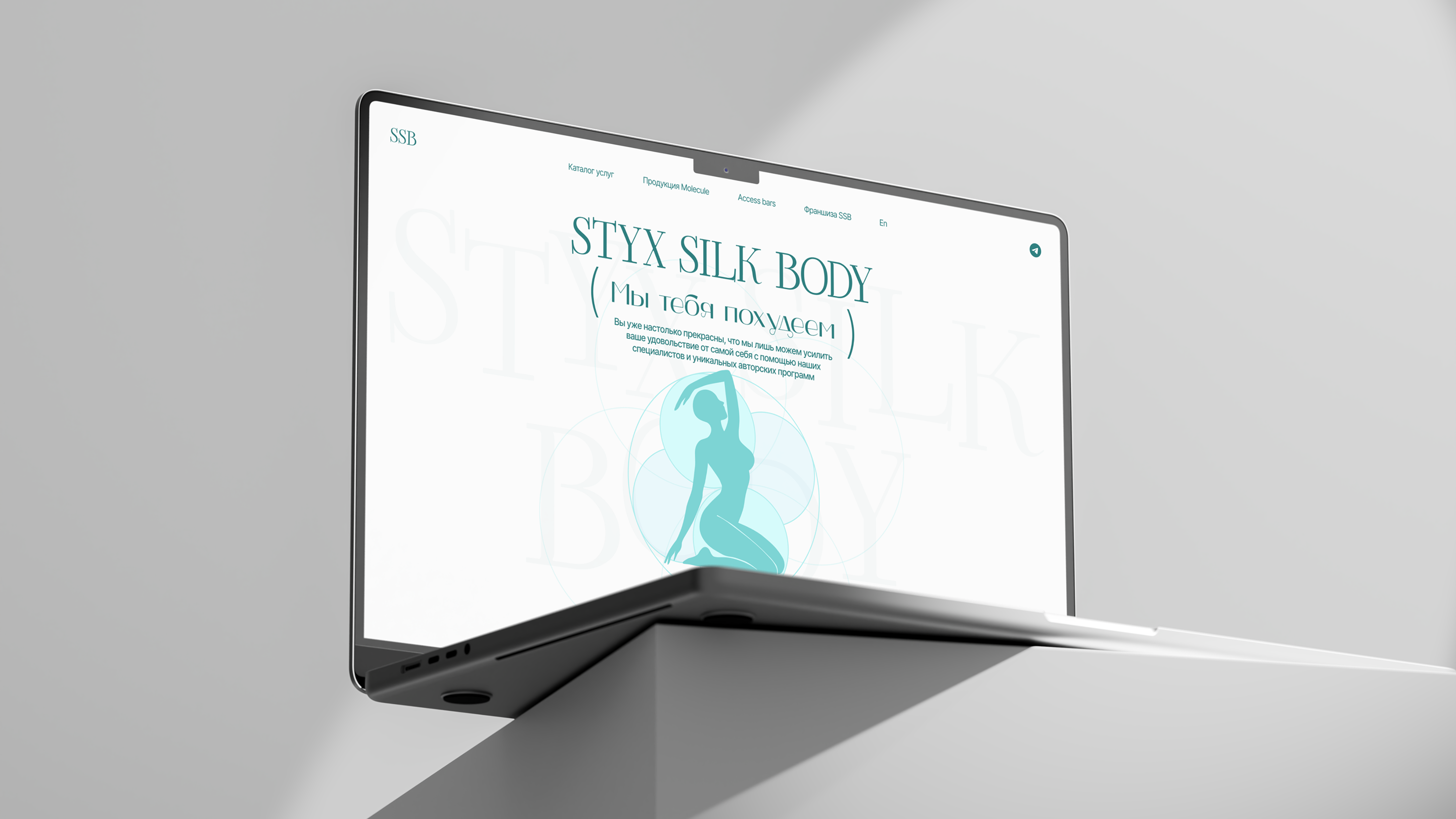 Styx Silk Body / E-commerce — Изображение №16 — Интерфейсы, Брендинг на Dprofile