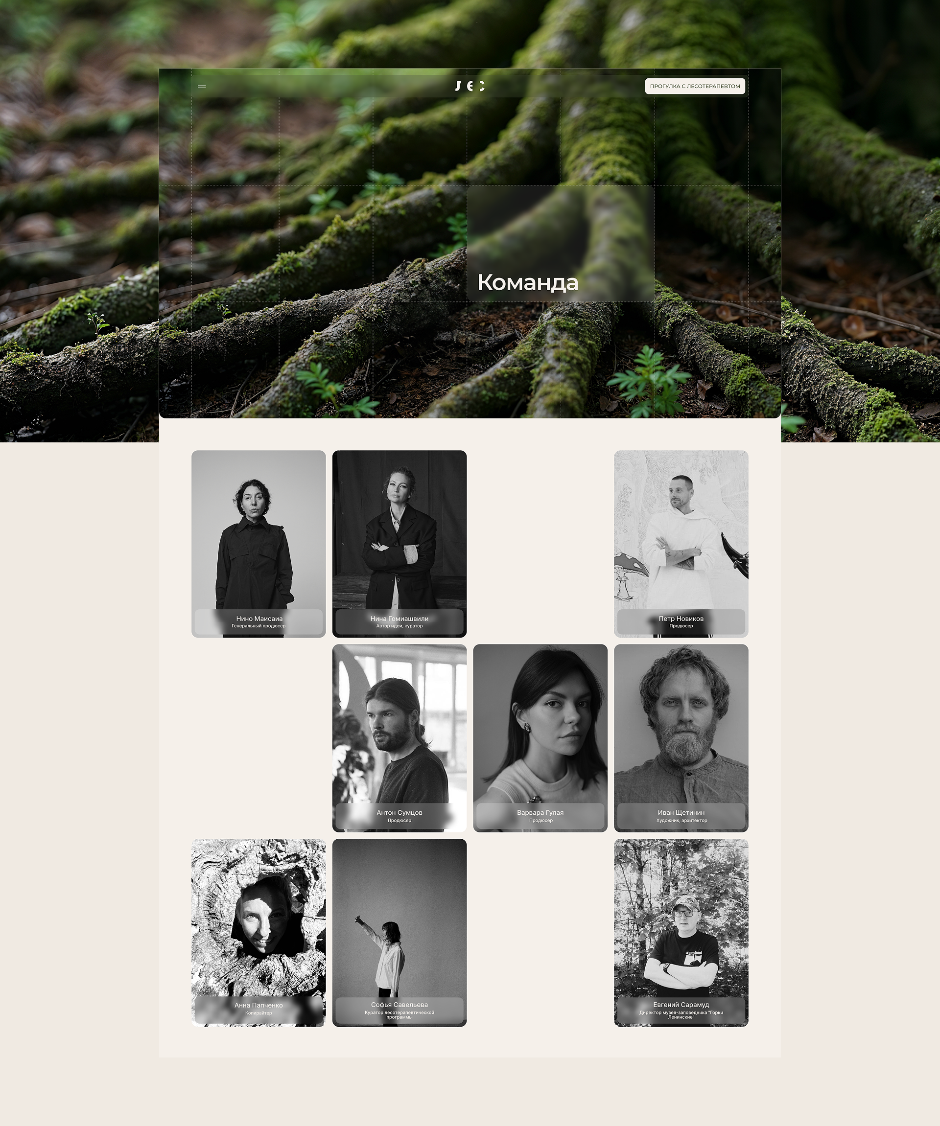 ЛЕС |Промо-сайт — Изображение №8 — Интерфейсы, Анимация на Dprofile