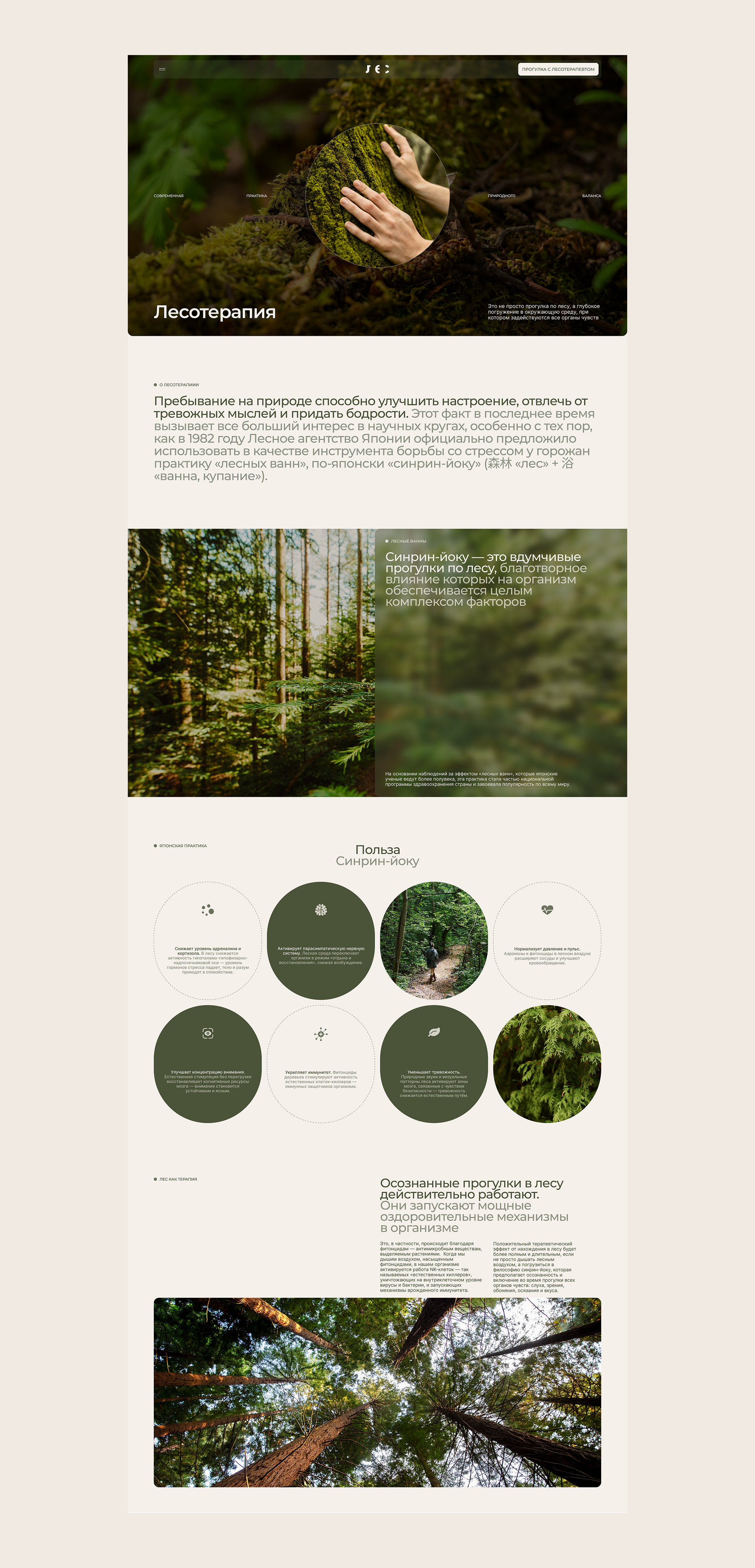 ЛЕС |Промо-сайт — Изображение №5 — Интерфейсы, Анимация на Dprofile