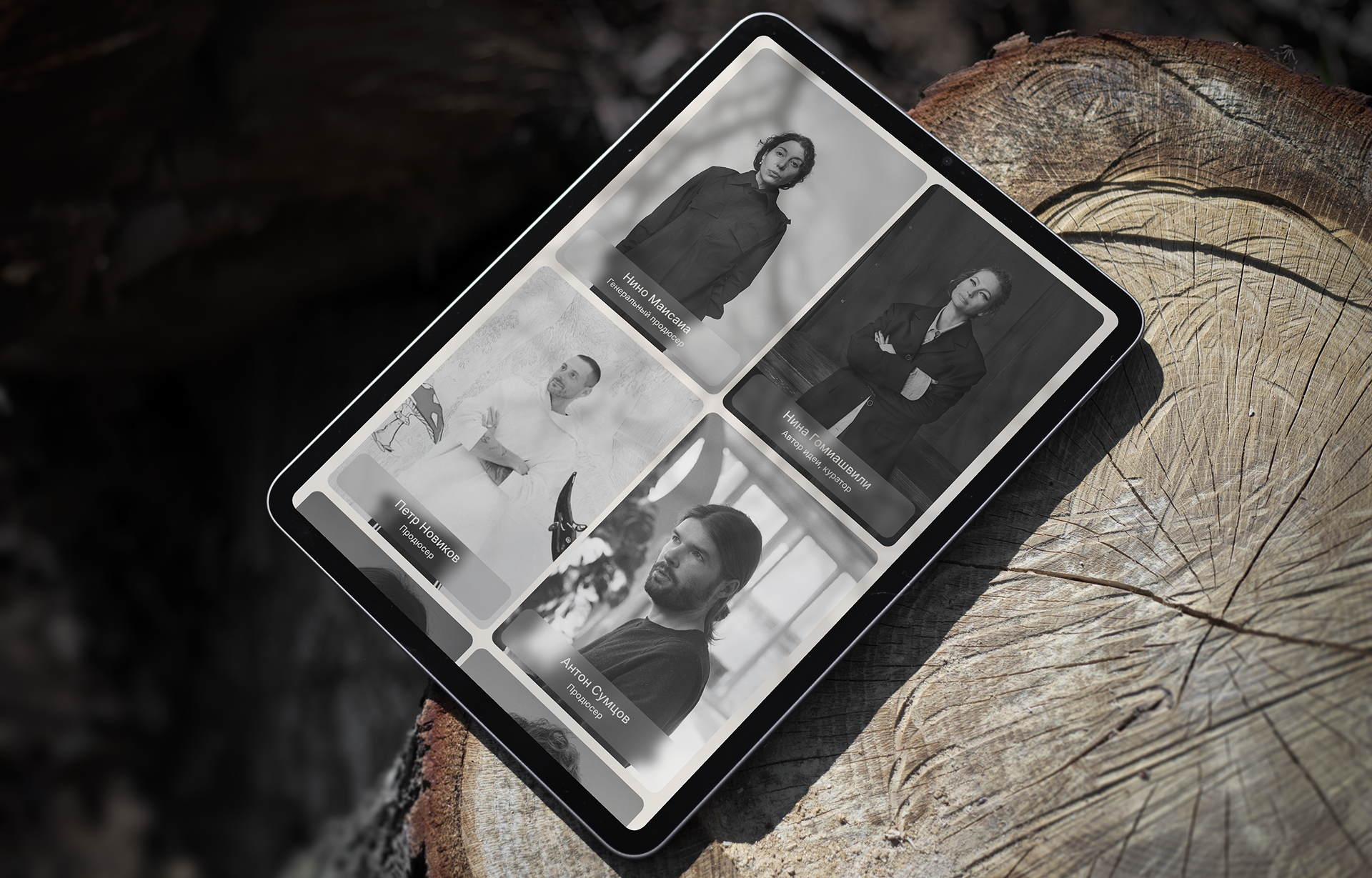 ЛЕС |Промо-сайт — Изображение №9 — Интерфейсы, Анимация на Dprofile