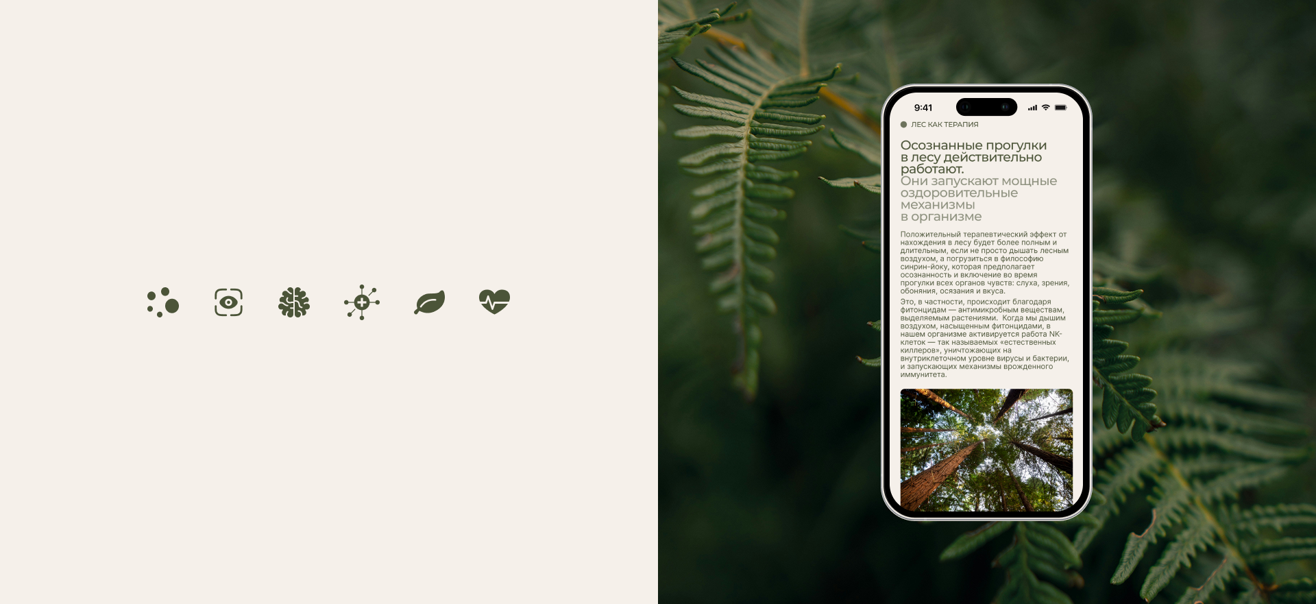 ЛЕС |Промо-сайт — Изображение №6 — Интерфейсы, Анимация на Dprofile