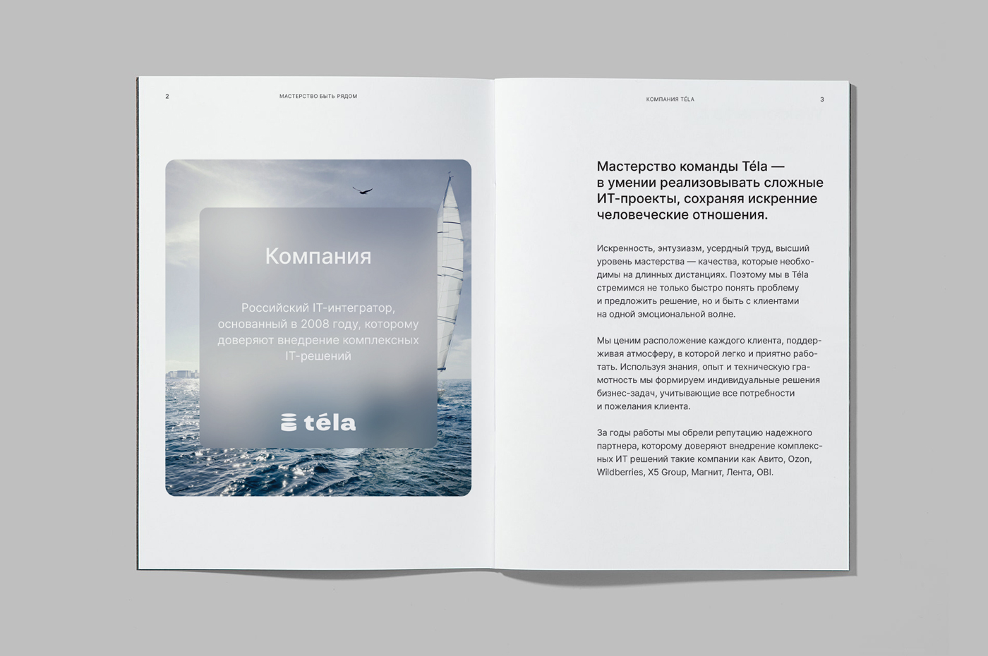 Téla: мастерство быть рядом — Изображение №13 — Интерфейсы, Брендинг на Dprofile