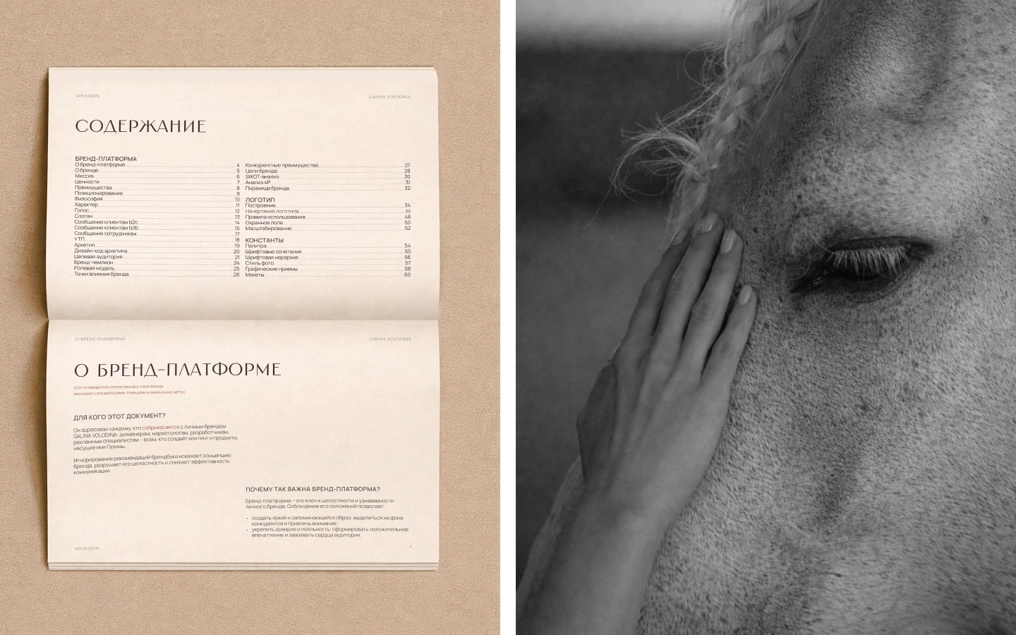 Брендинг для коуча/психолога / Логотип / Фирменный стиль — Изображение №13 — Брендинг на Dprofile