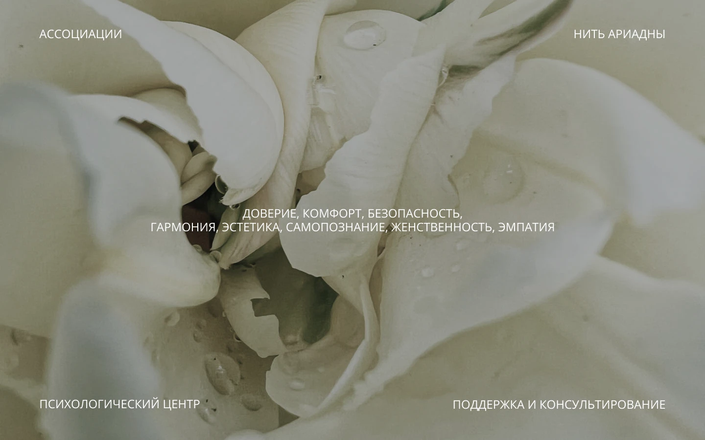 Психологический центр Фирменный стиль Логотип Айдентика — Изображение №3 — Брендинг, Графика на Dprofile