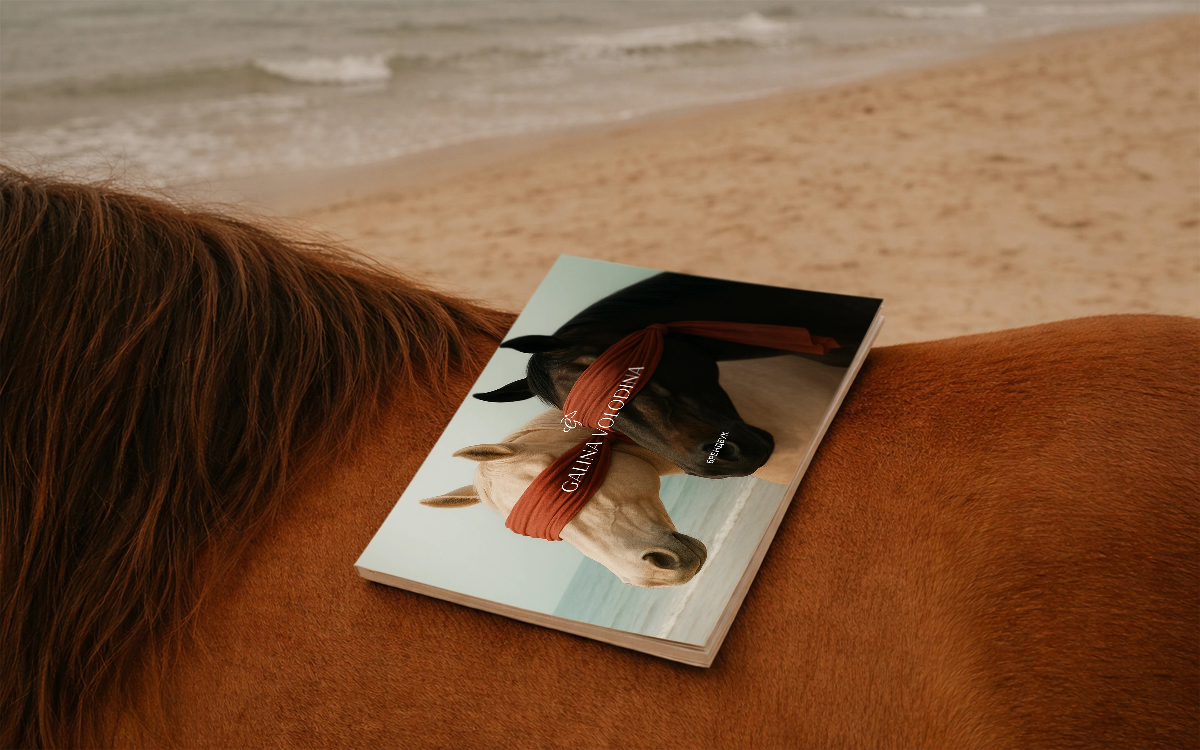 Брендинг для коуча/психолога / Логотип / Фирменный стиль — Изображение №11 — Брендинг на Dprofile