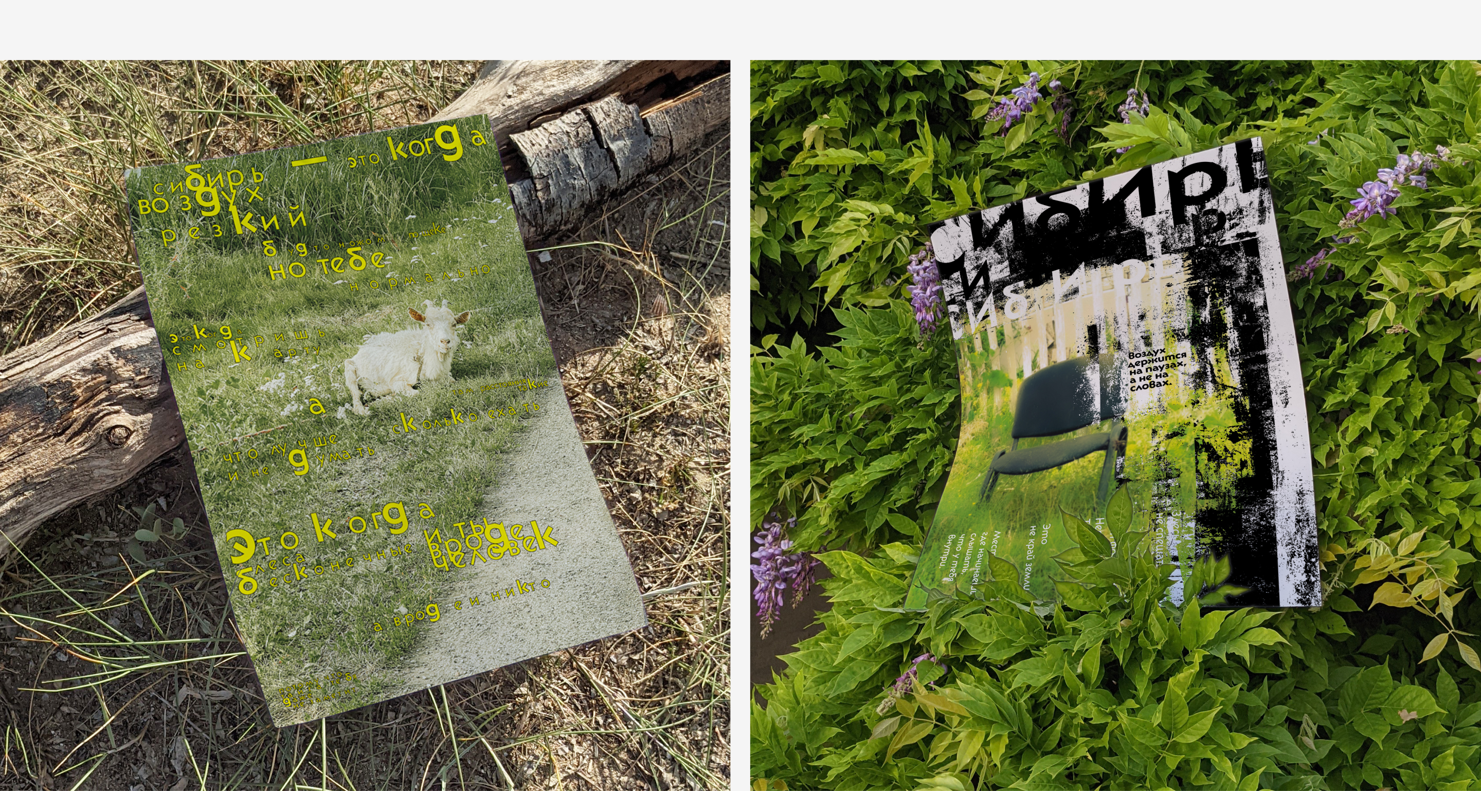 Серия постеров «Сибирь» — Изображение №18 — Графика на Dprofile