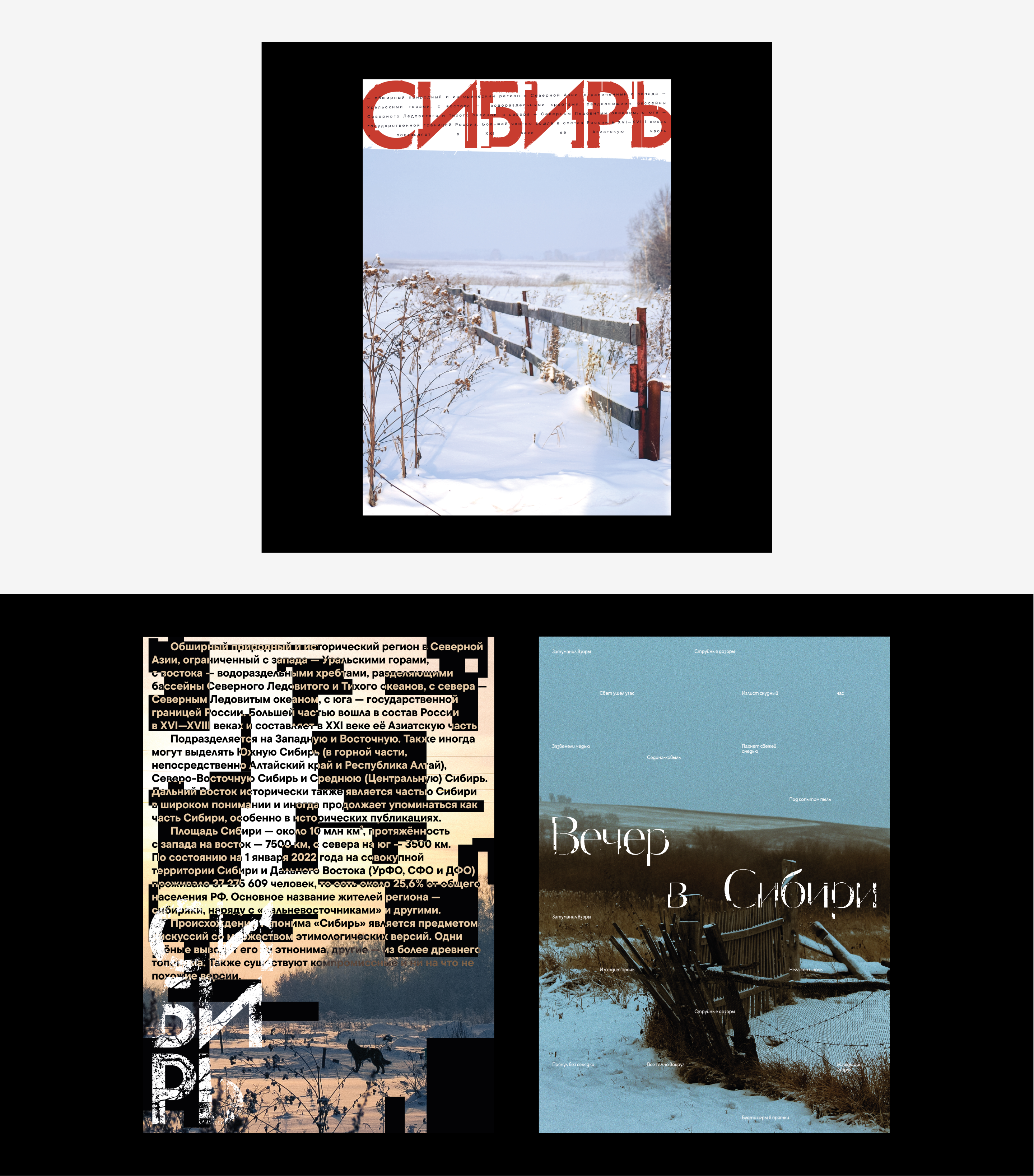 Серия постеров «Сибирь» — Изображение №15 — Графика на Dprofile