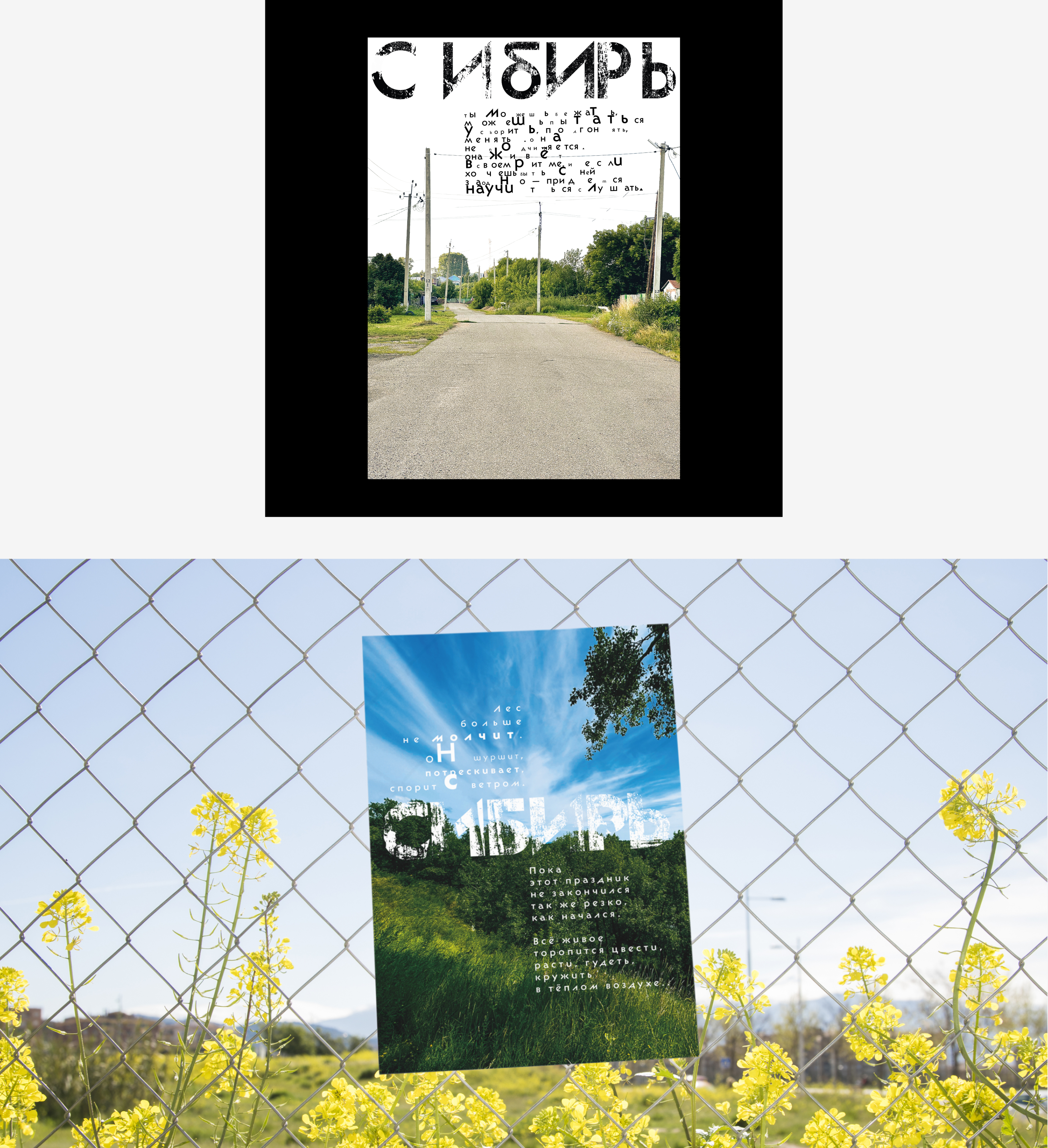 Серия постеров «Сибирь» — Изображение №17 — Графика на Dprofile