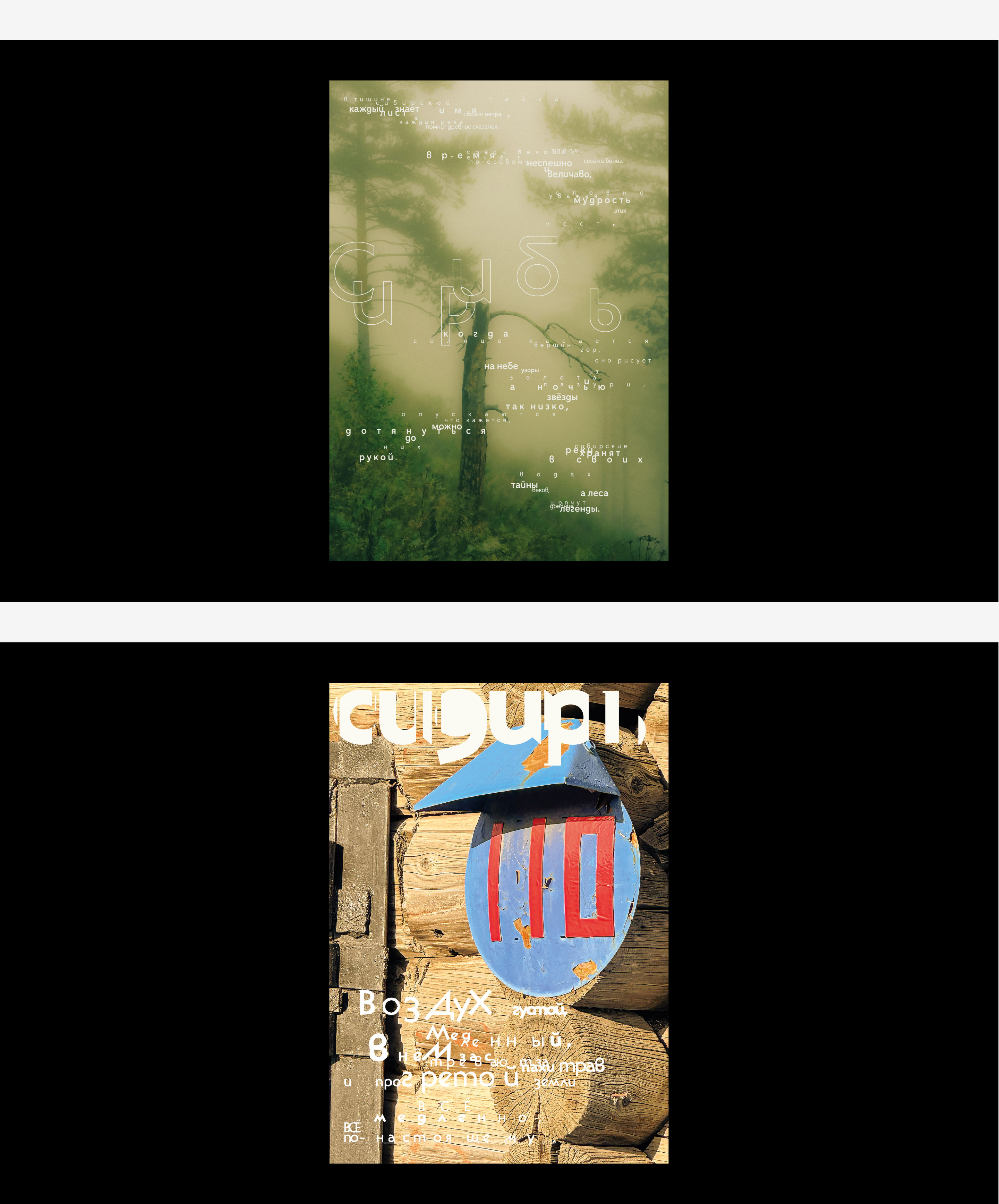 Серия постеров «Сибирь» — Изображение №20 — Графика на Dprofile