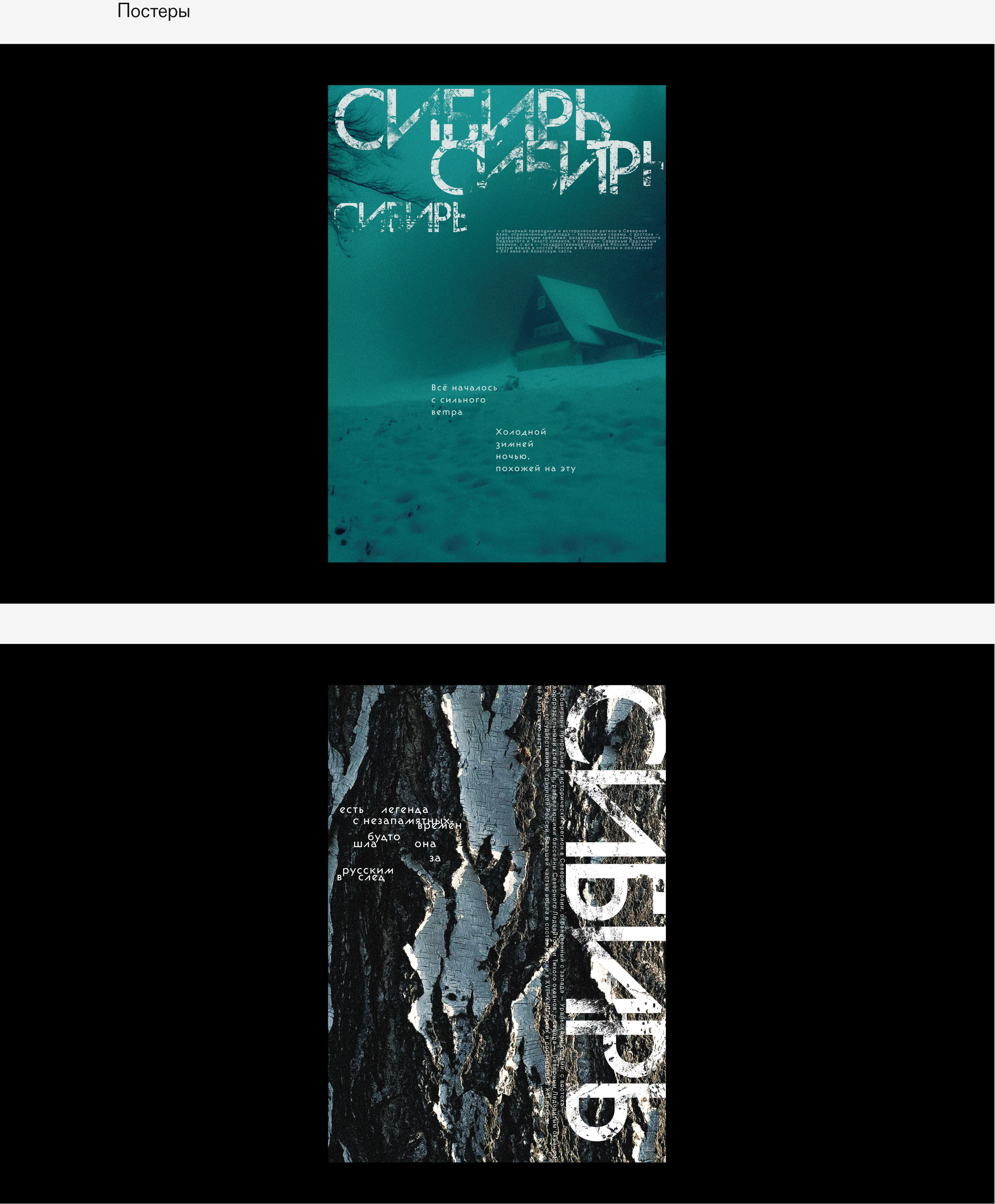 Серия постеров «Сибирь» — Изображение №13 — Графика на Dprofile