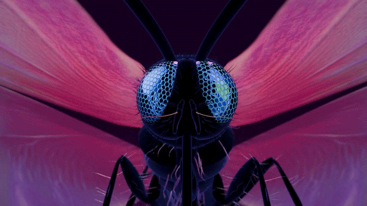 SHOWREEL 2025 — Изображение №6 — 3D, Анимация на Dprofile