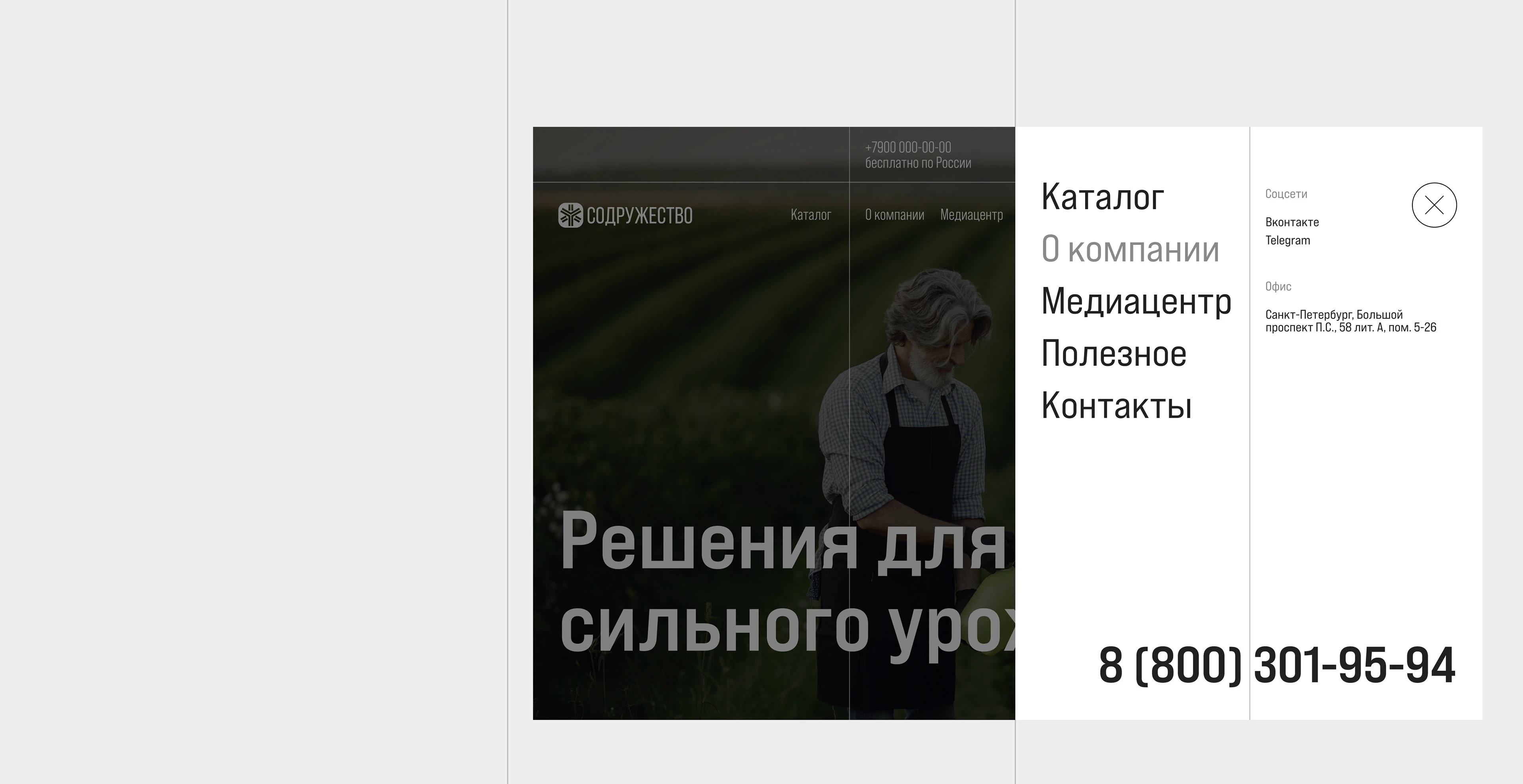 СОДРУЖЕСТВО: Сайт / Агрохимия — Изображение №9 — Интерфейсы, Брендинг на Dprofile
