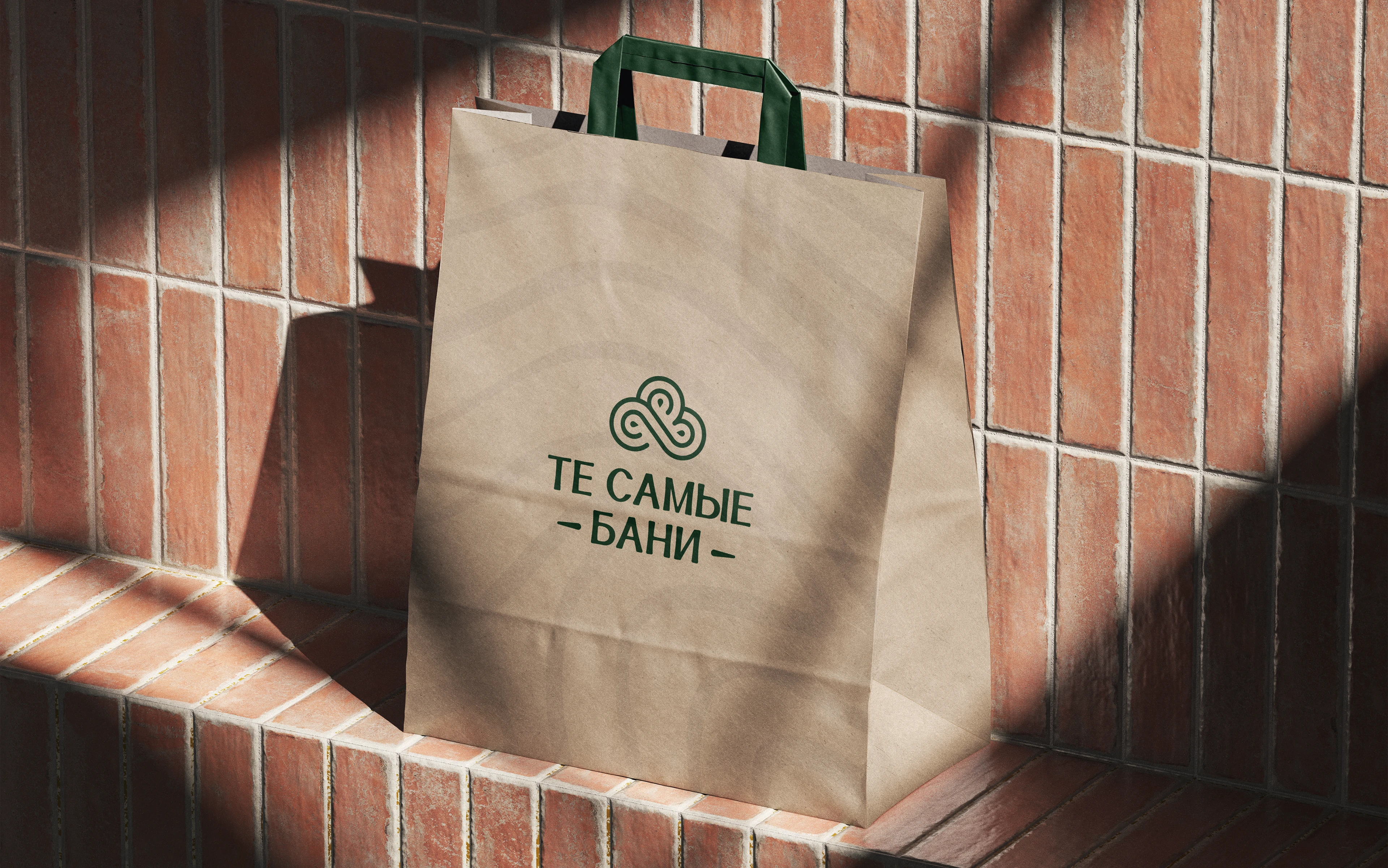 Те самые бани - bath complex branding, logo — Изображение №15 — Брендинг, Графика на Dprofile