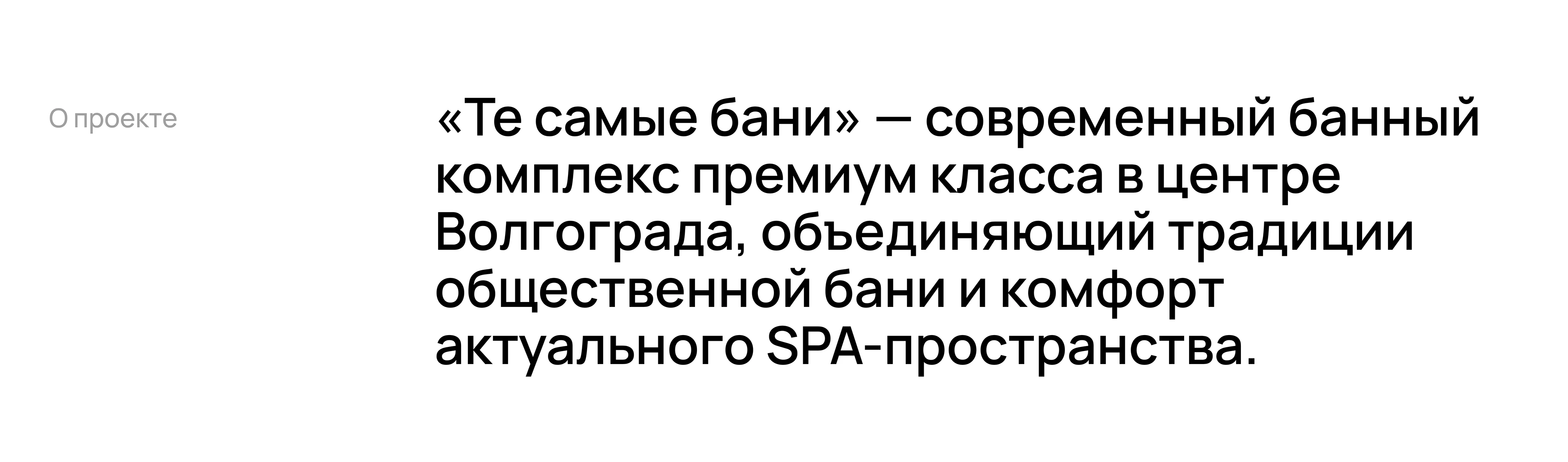 Те самые бани - bath complex branding, logo — Изображение №2 — Брендинг, Графика на Dprofile