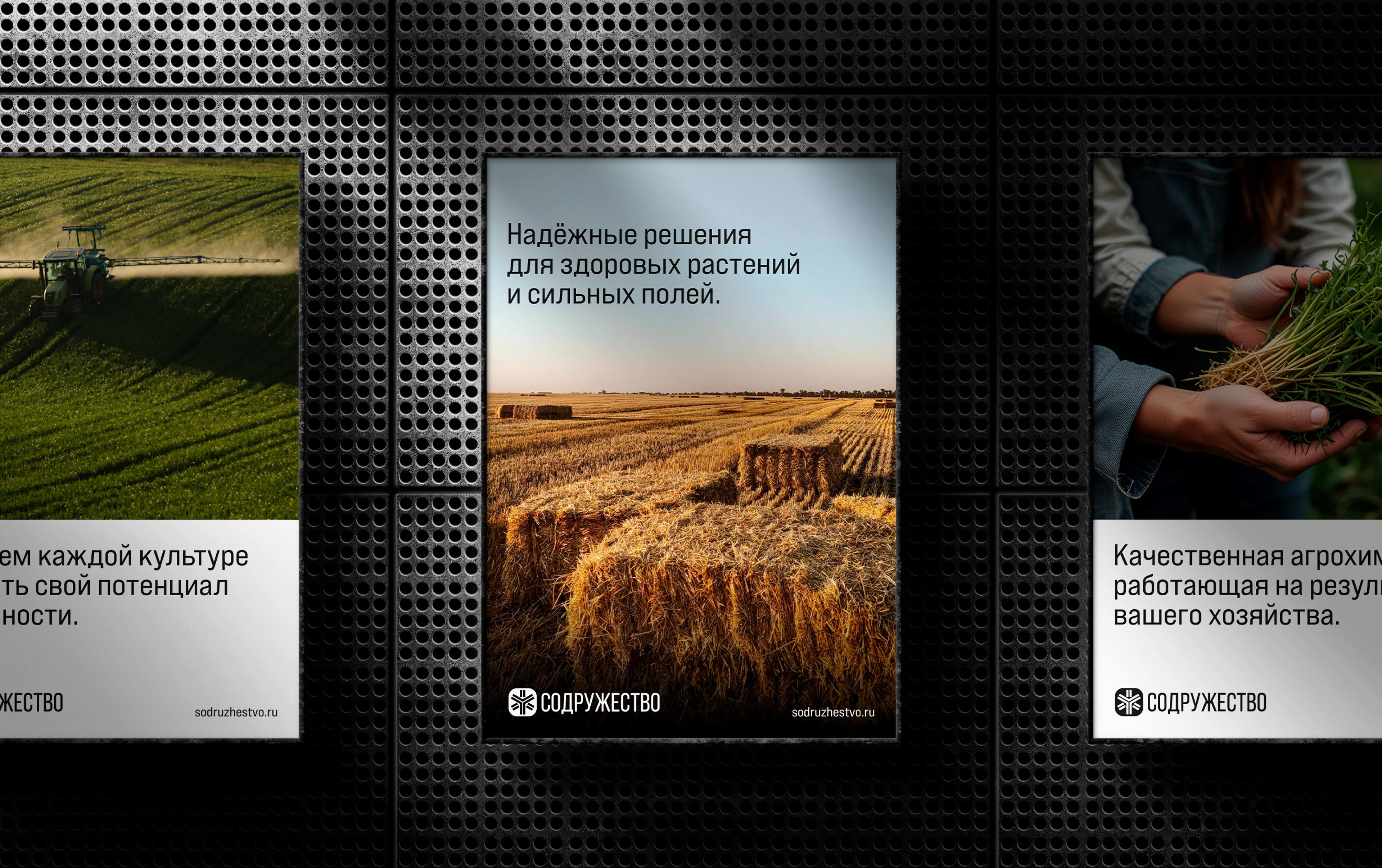 СОДРУЖЕСТВО: Сайт / Агрохимия — Изображение №3 — Интерфейсы, Брендинг на Dprofile