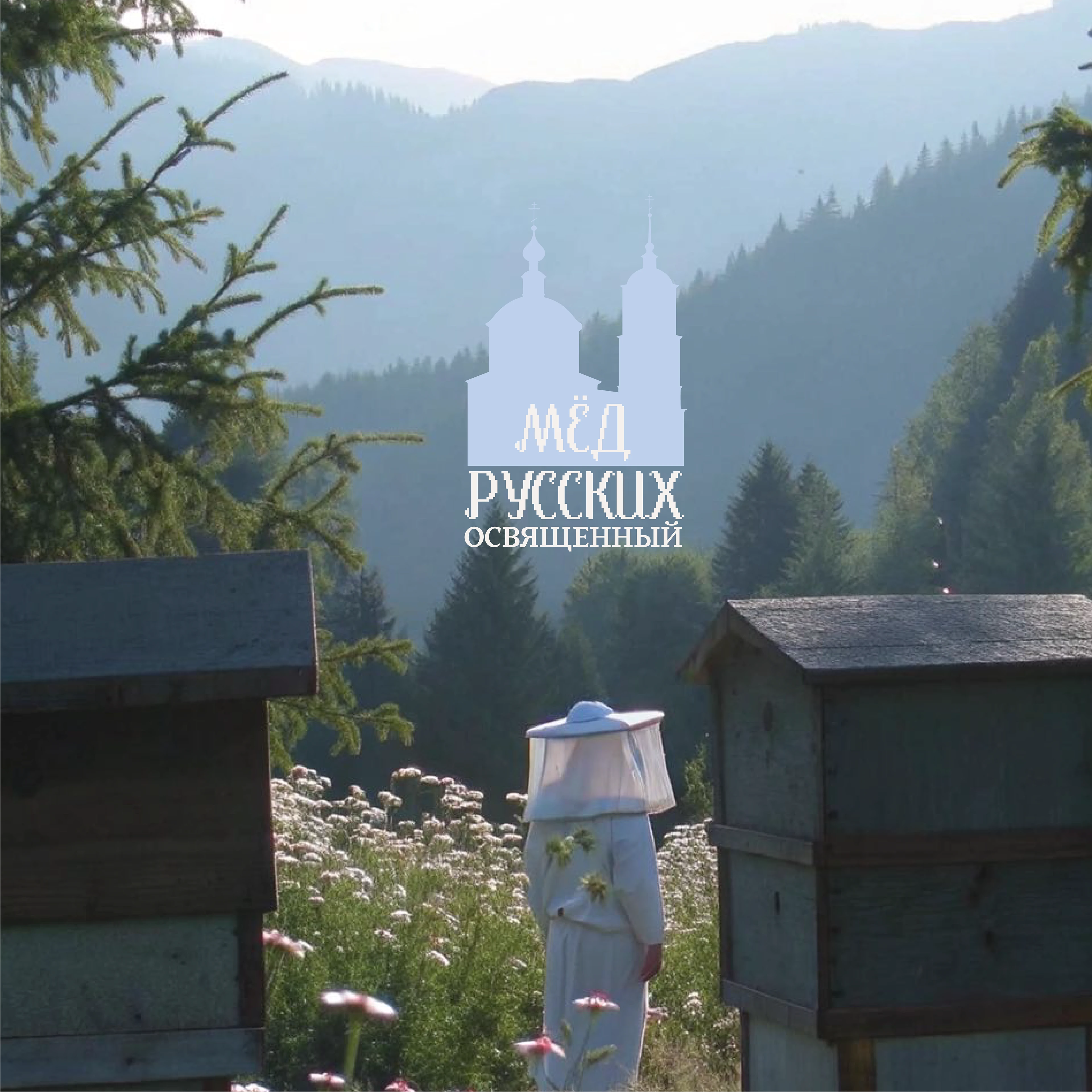 "МЁД РУССКИХ" - ФИРМЕННЫЙ СТИЛЬ ДЛЯ БРЕНДА МЁДА — Изображение №1 — Брендинг на Dprofile