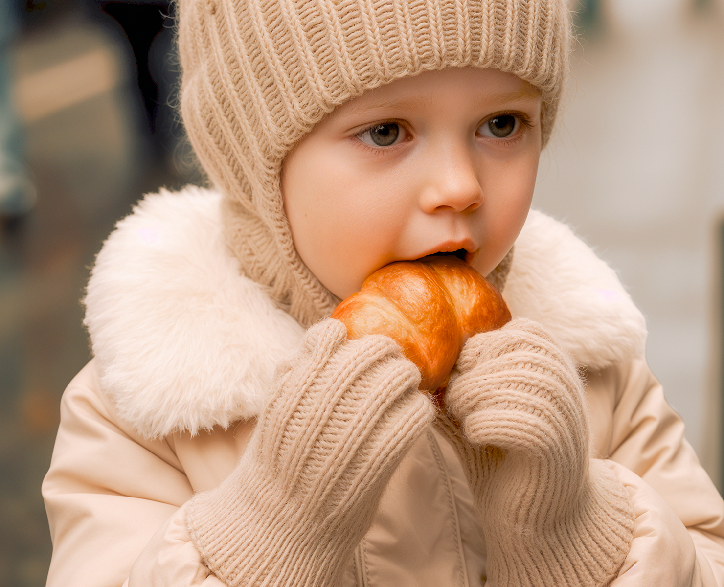 Бисквитный двор|Сеть пекарен — Брендинг, Графика на Dprofile