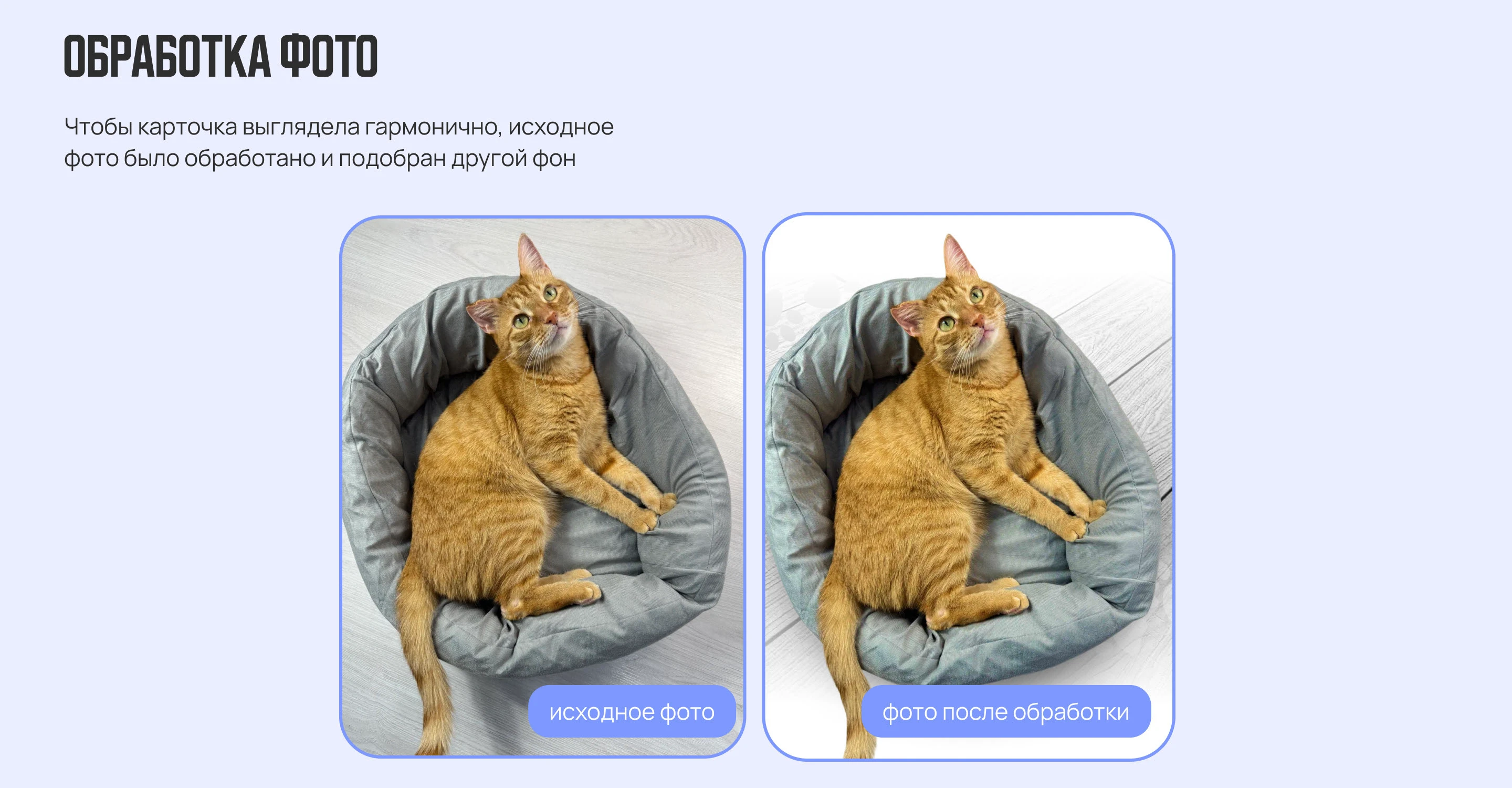 Карточки товара для WILDBERRIES / OZON • ИНФОГРАФИКА — Изображение №9 — Графика, Маркетинг на Dprofile