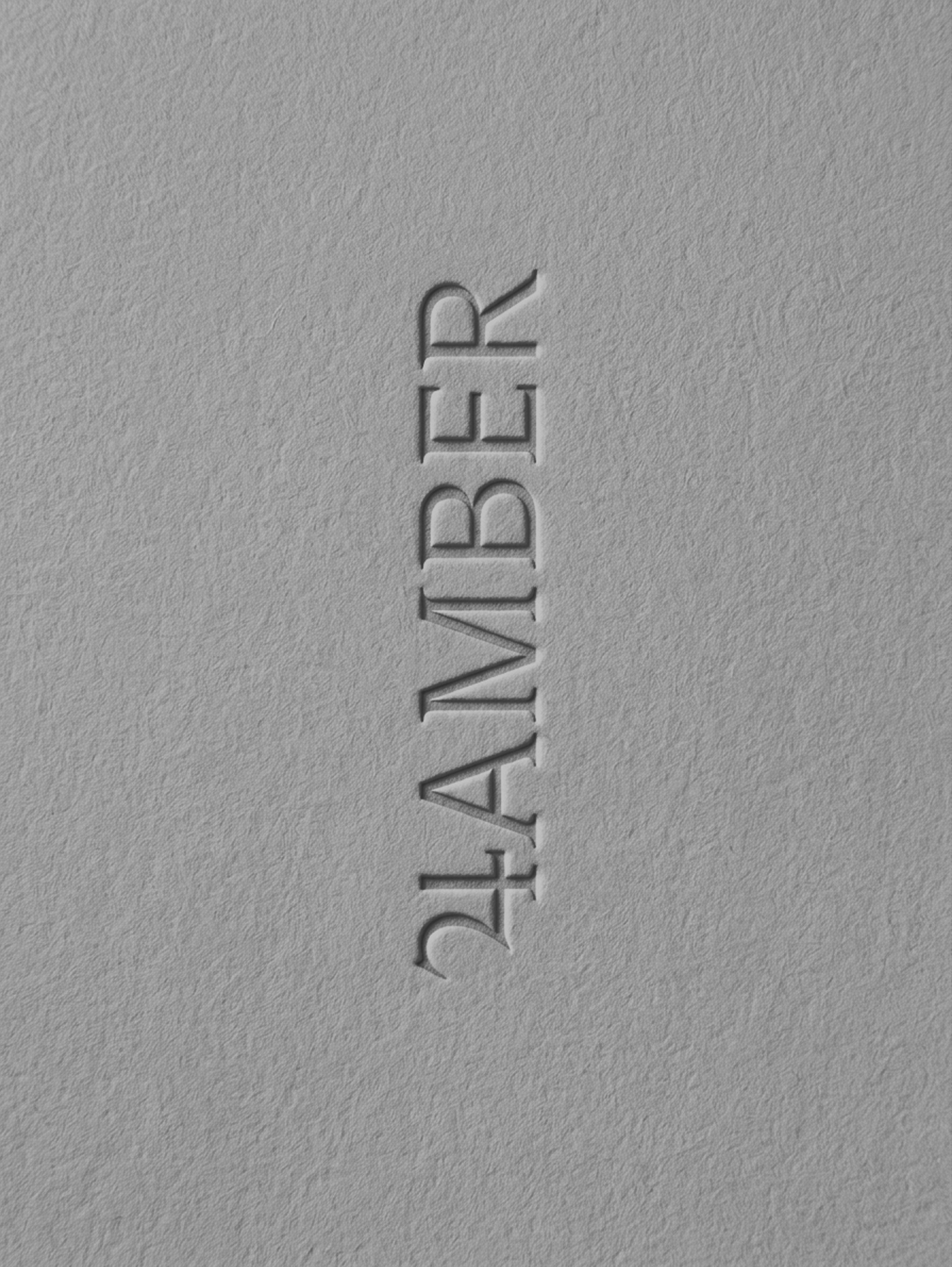 4AMBER — Изображение №3 — Брендинг, Графика на Dprofile