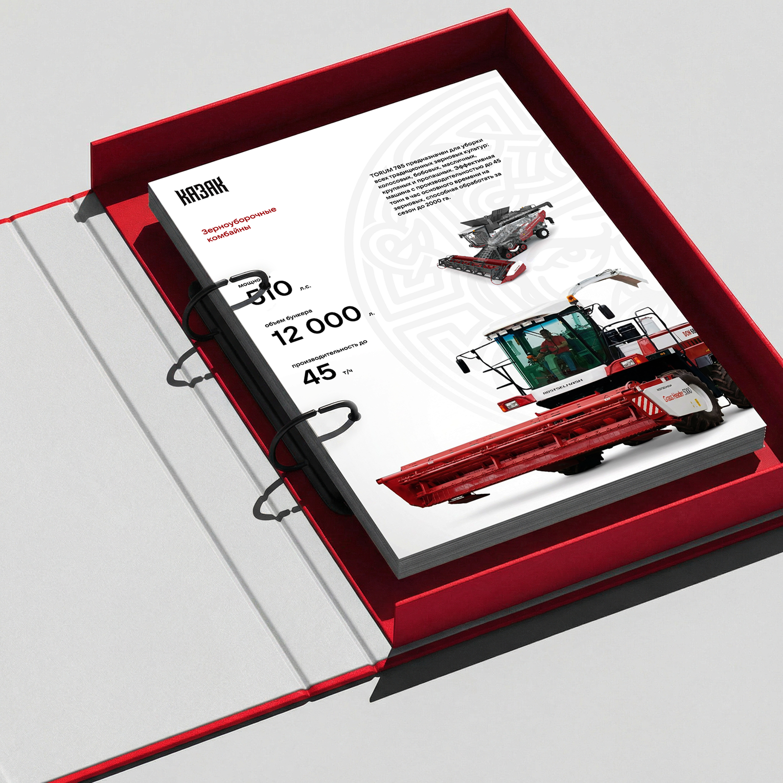 Казак | Разработка айдентики и логотипа — Изображение №25 — Брендинг на Dprofile