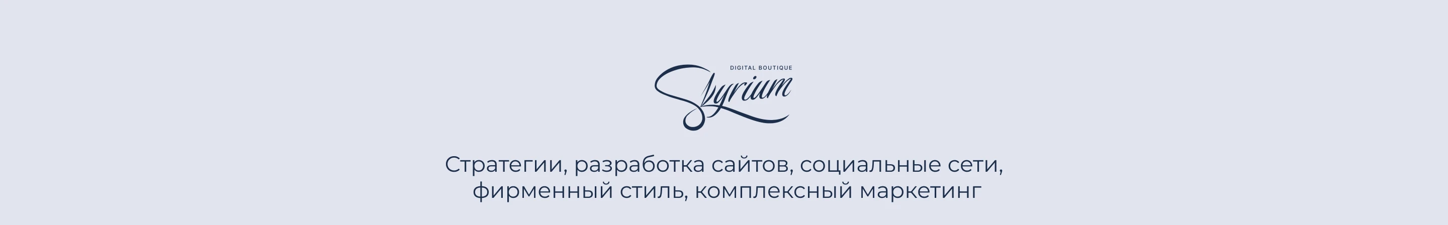 Skyrium digital boutique | диджитал-маркетинг — Изображение №20 — Интерфейсы на Dprofile