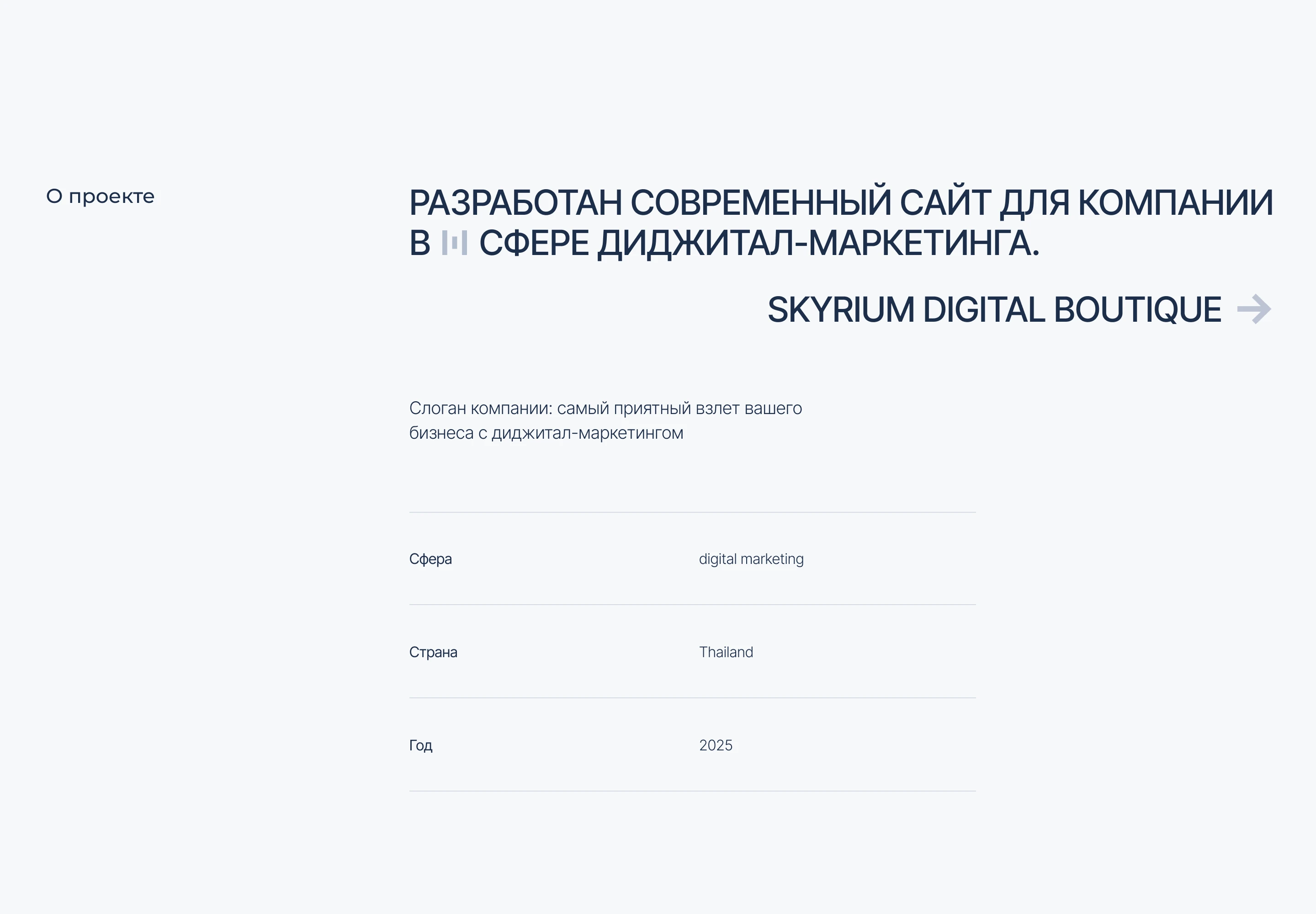 Skyrium digital boutique | диджитал-маркетинг — Изображение №2 — Интерфейсы на Dprofile