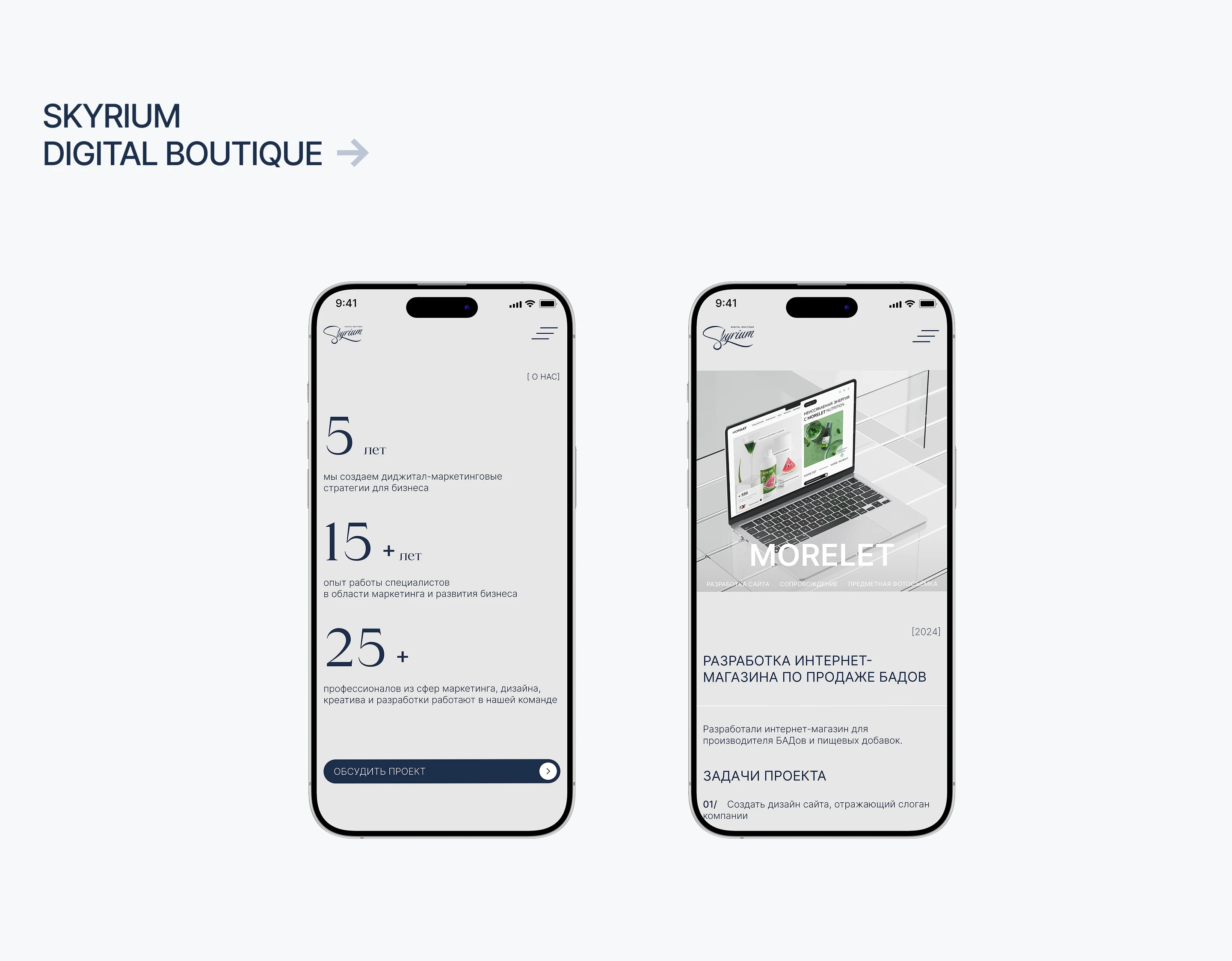 Skyrium digital boutique | диджитал-маркетинг — Изображение №12 — Интерфейсы на Dprofile
