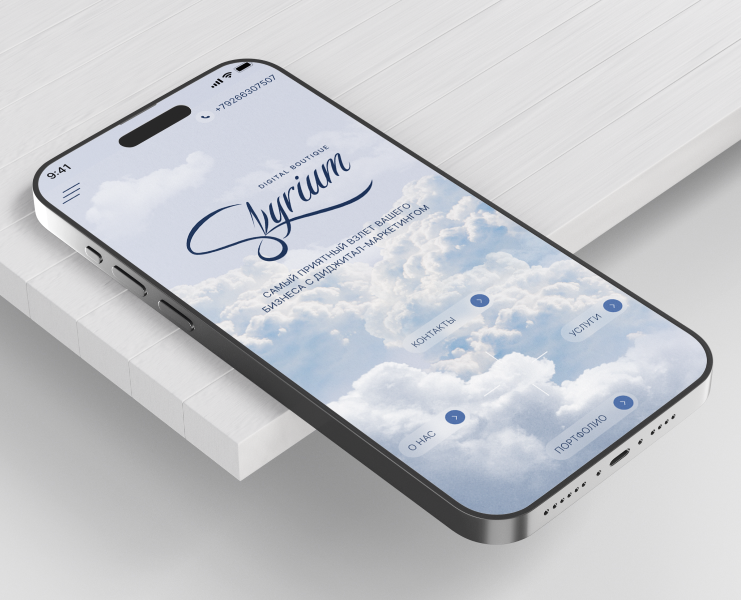 Skyrium digital boutique | диджитал-маркетинг — Интерфейсы на Dprofile